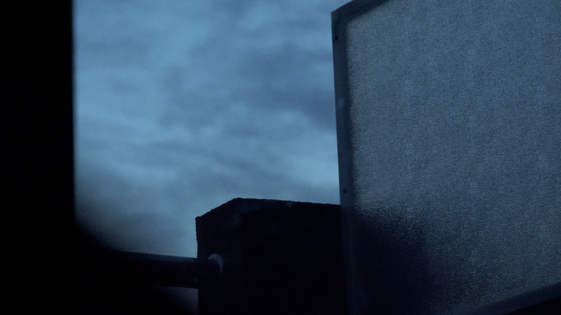 Does a Cat Pretend to Sleep