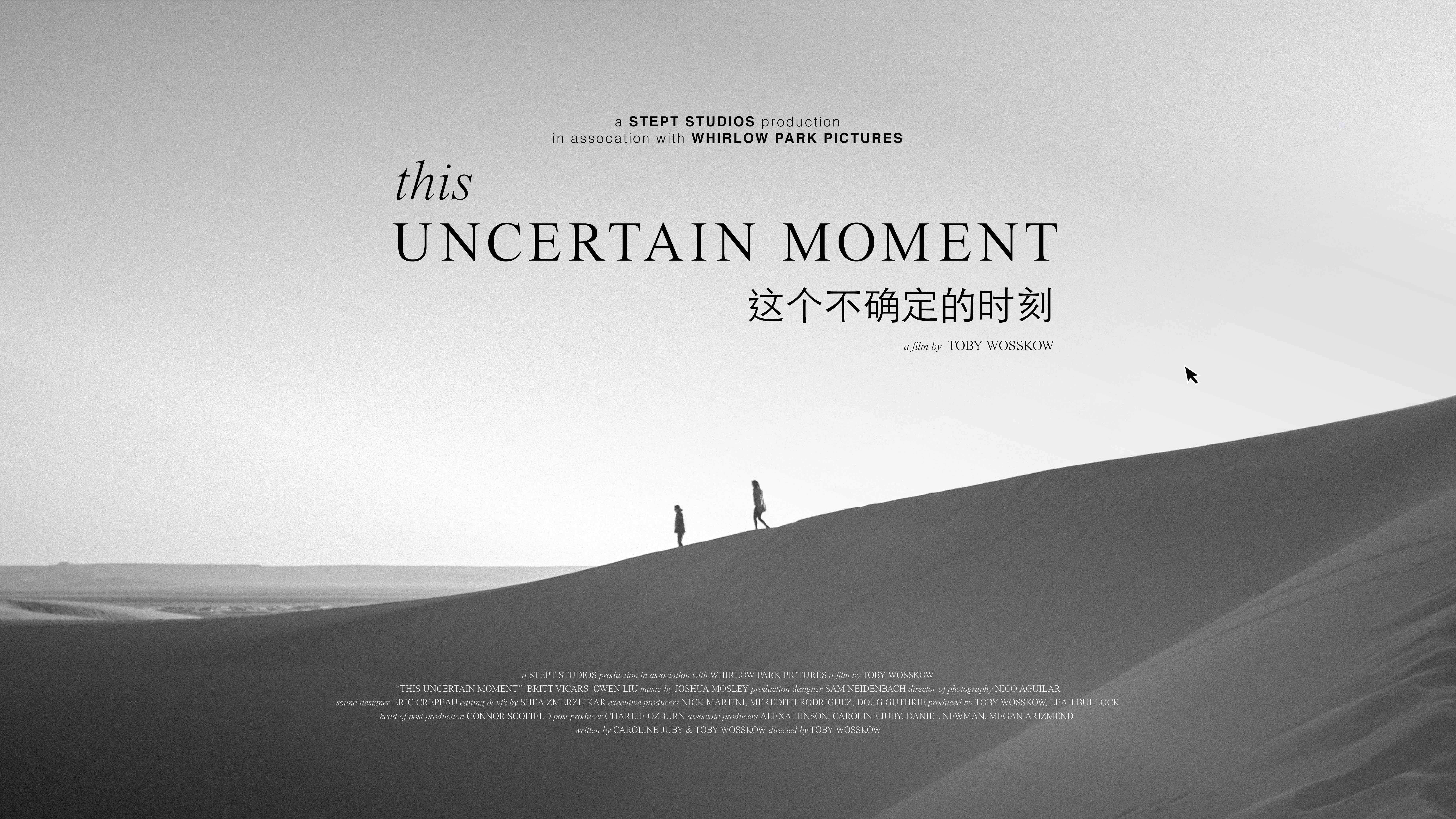 This Uncertain Moment