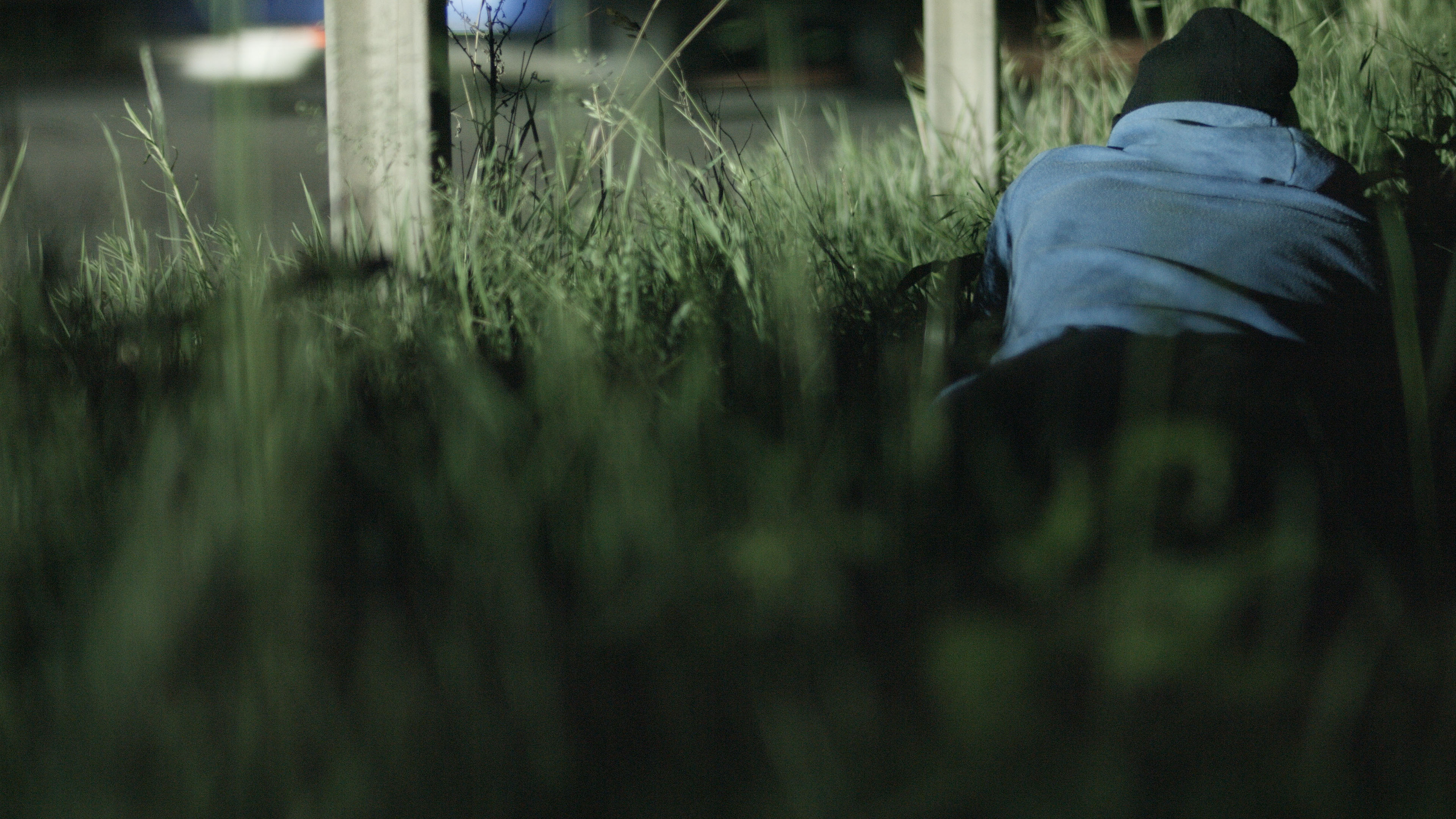 A Roadside with a View