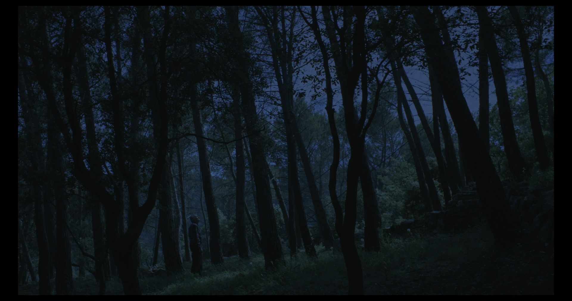 Une vie sans mystère