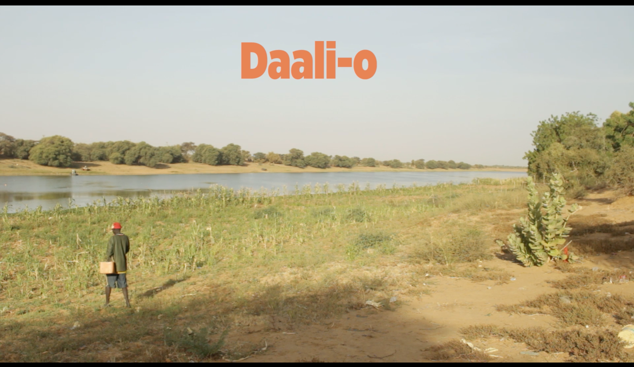 Daali-o