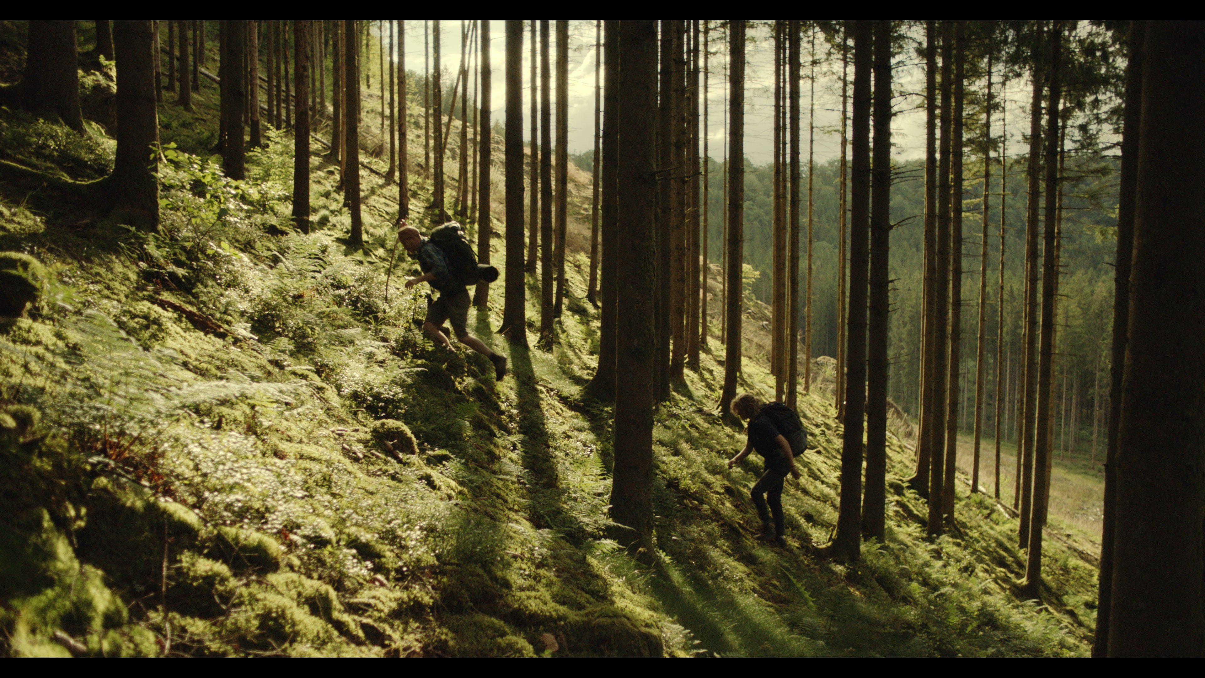 Pour ne pas me perdre