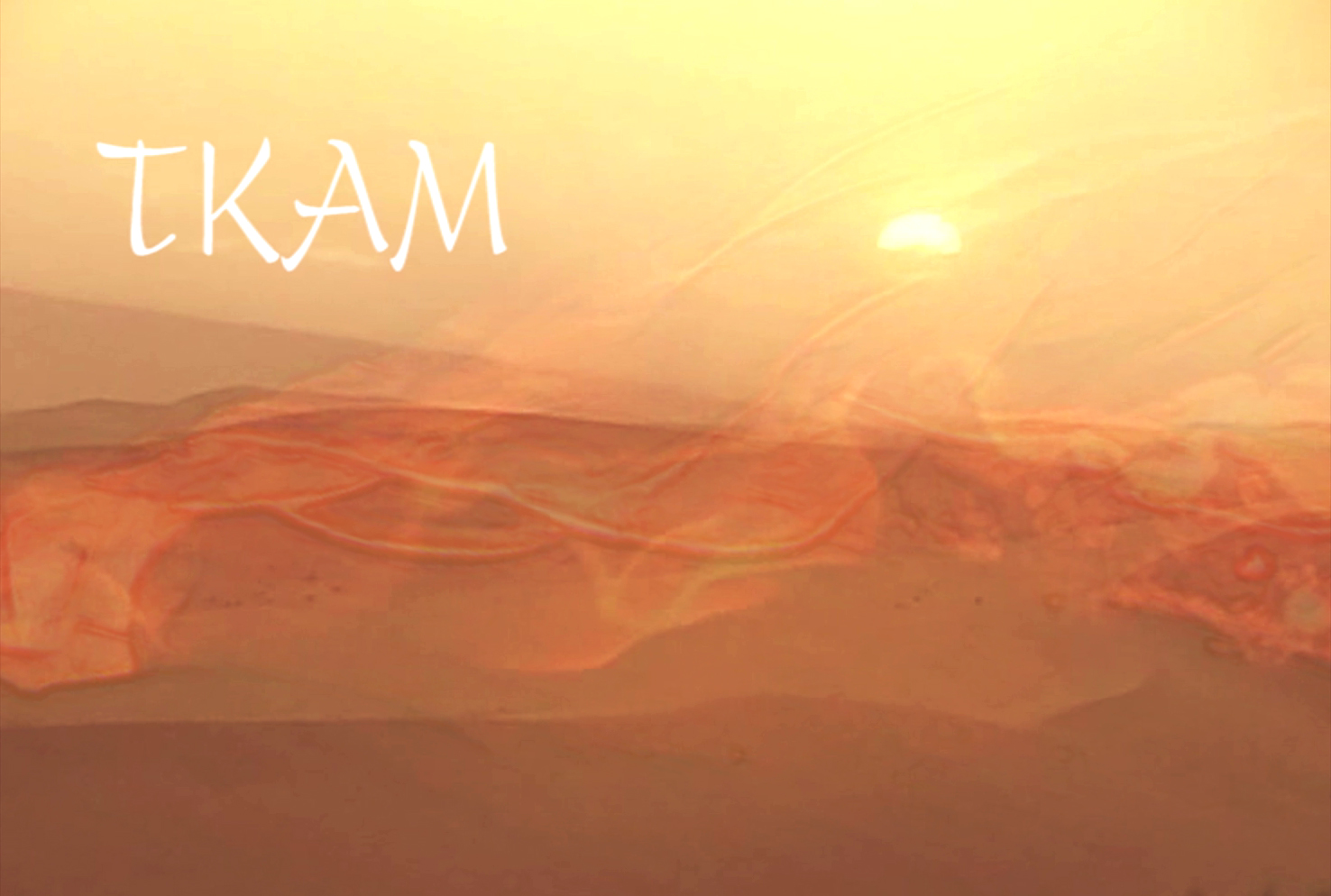 Tkam