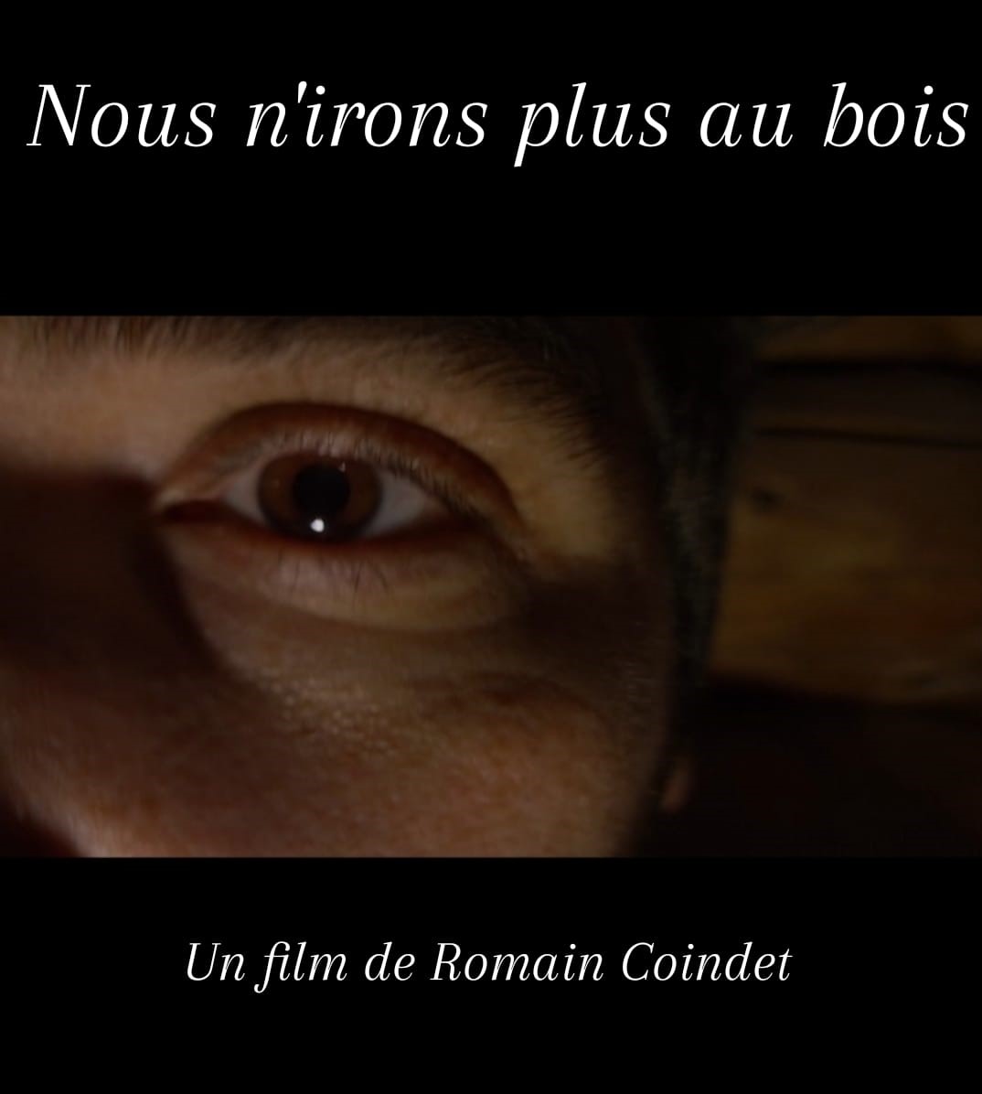 Nous n'irons plus au bois