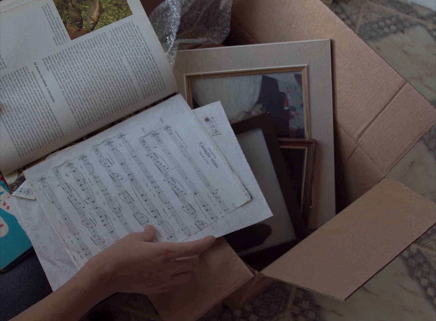 Todos os rostos que amo se parecem