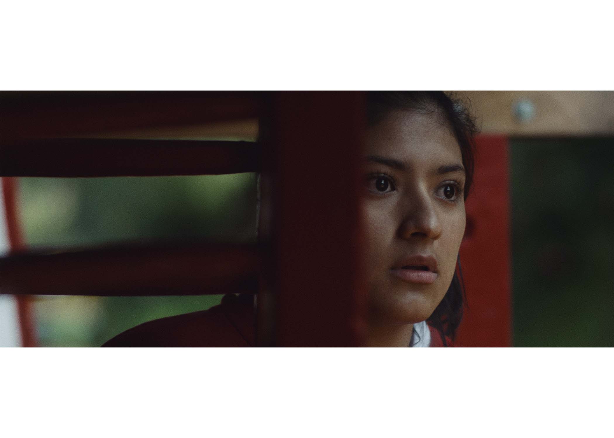 isla de las muñecas