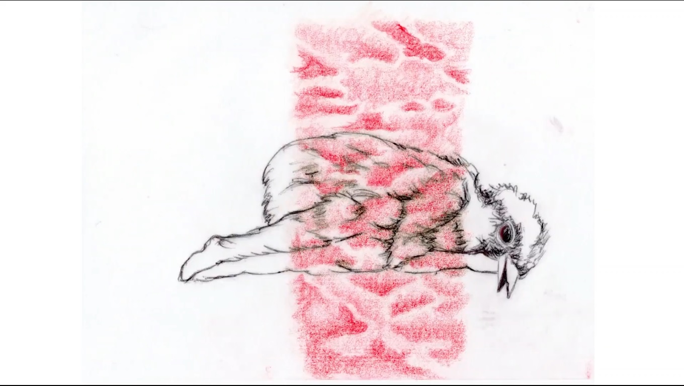 Mensagem de uma noite sem fim