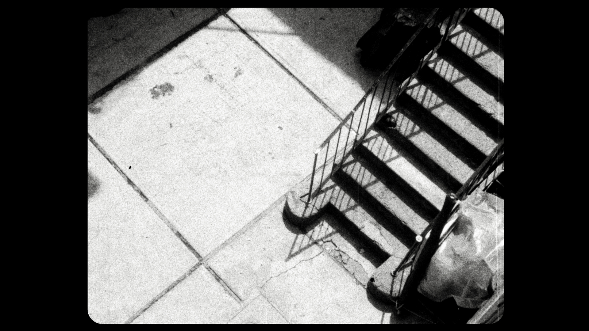 Un habitar en común