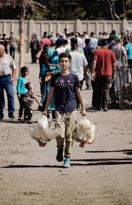 Daily Massacre in Tehran