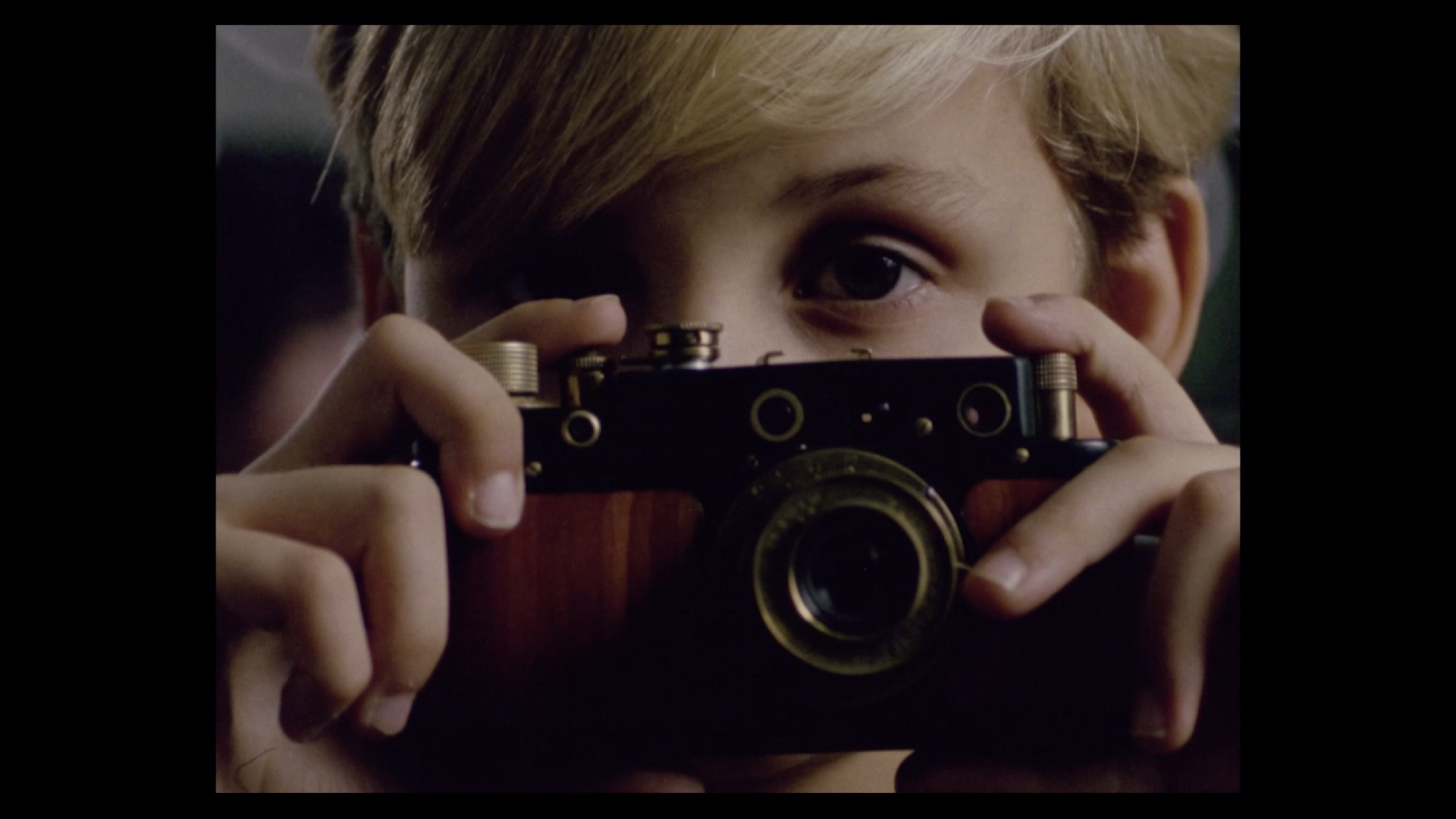 I Fell in Love with the World