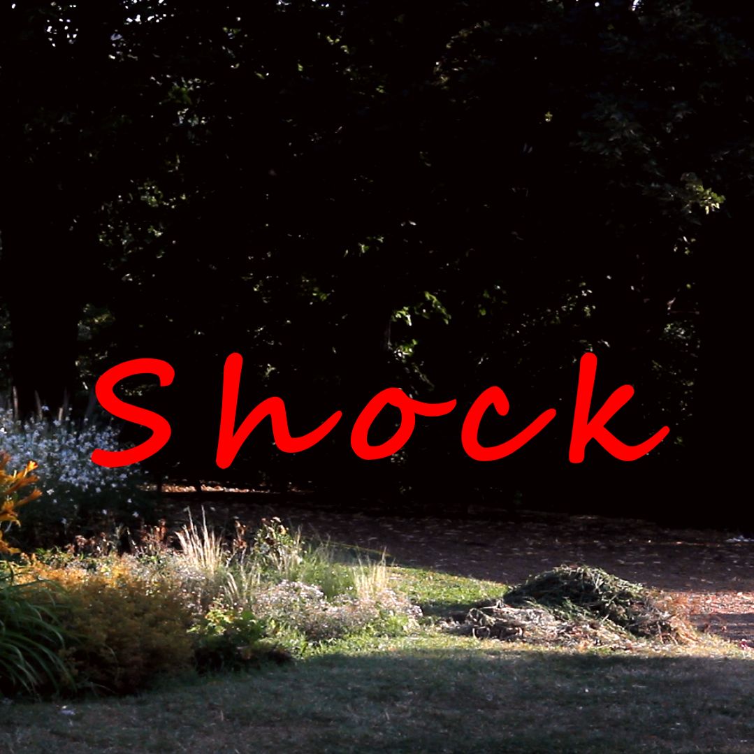 Shock