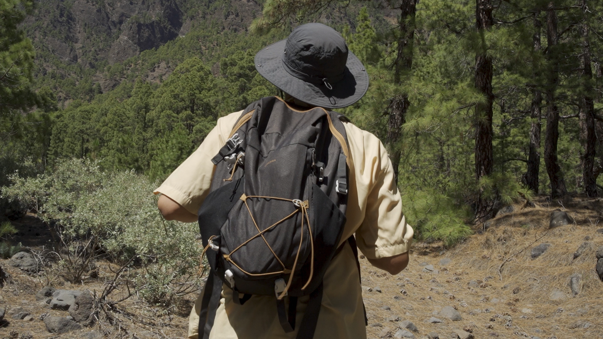 Montañas que cantan