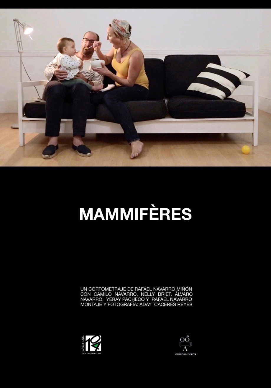 Mammifères