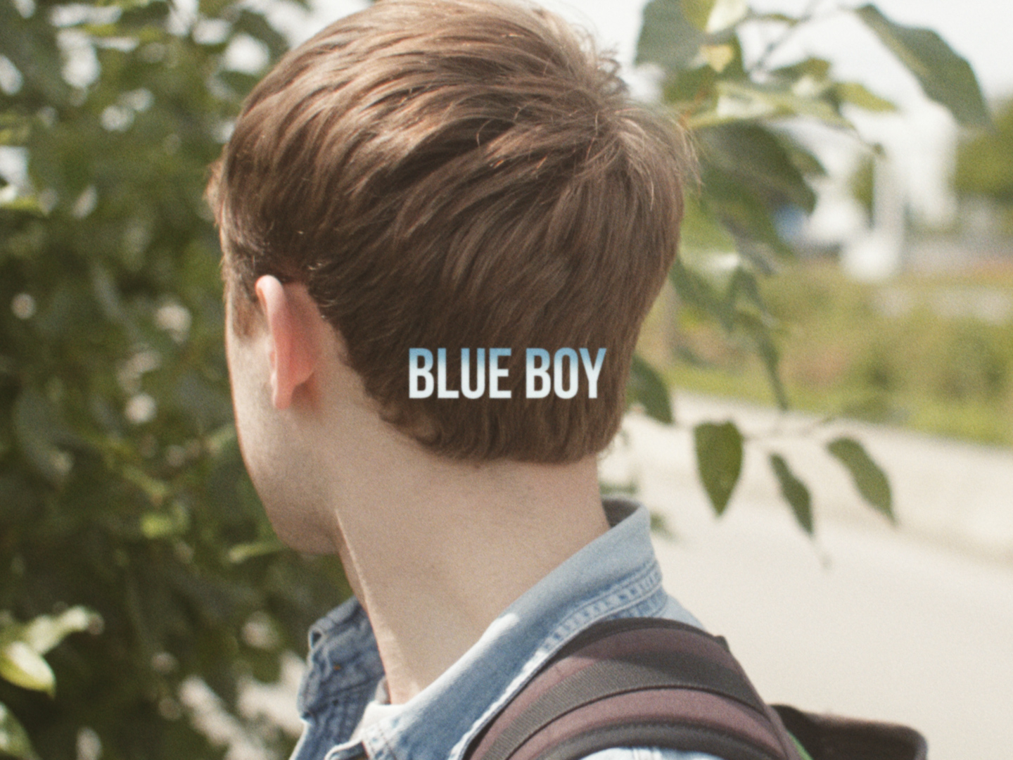 Blue Boy