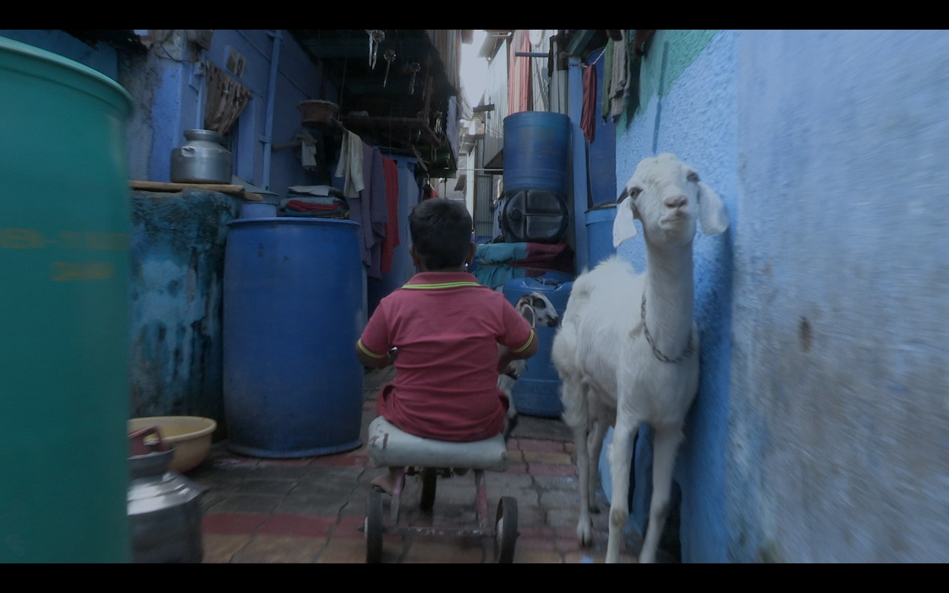 Salim nagar chauthi galli malegaon