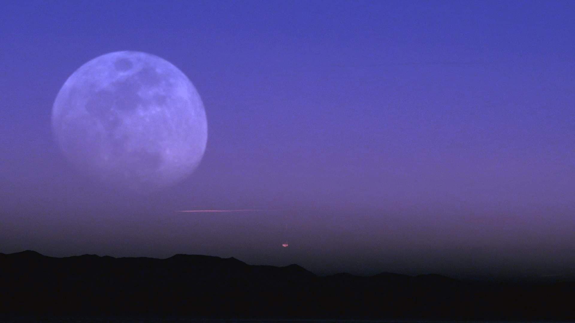 Wolves, Please Don't Cry