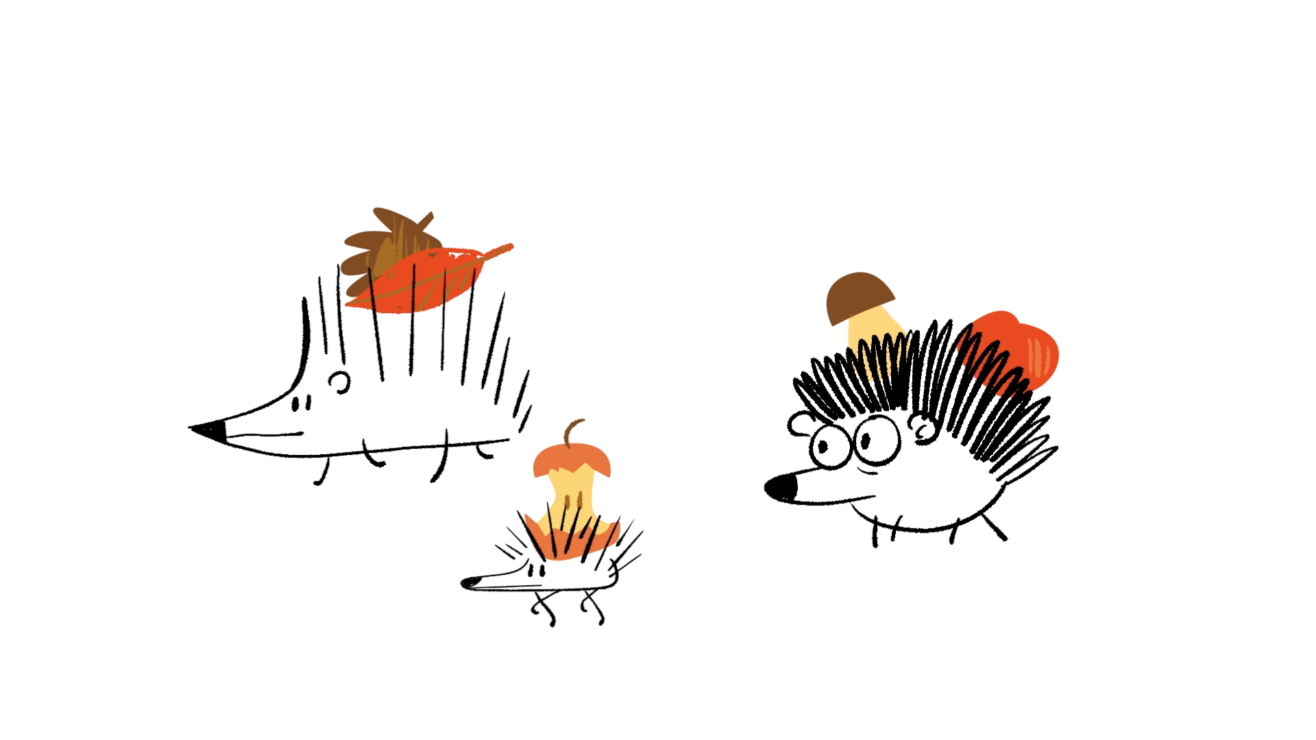 My Childhood Misbelief About Hedgehogs