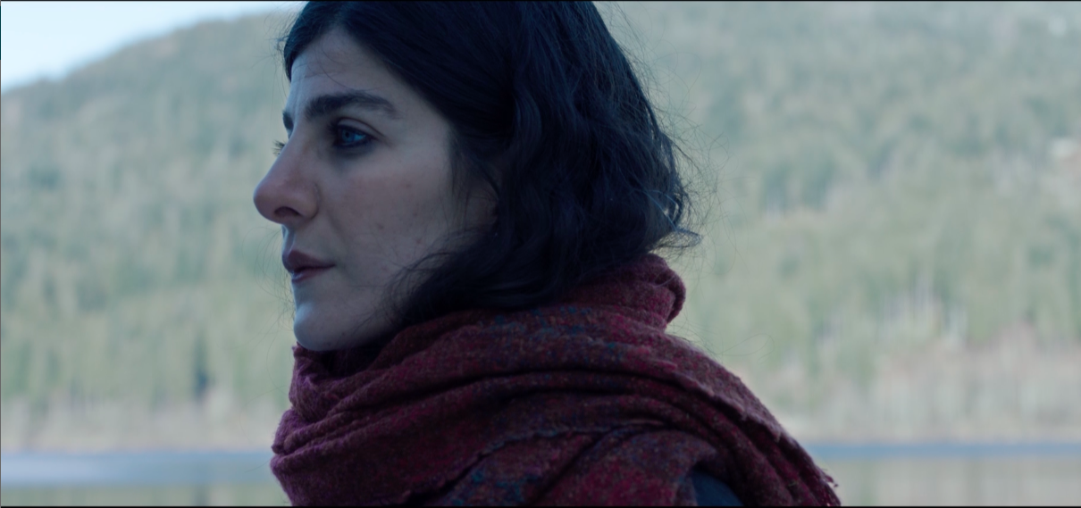 Des hortensias en hiver