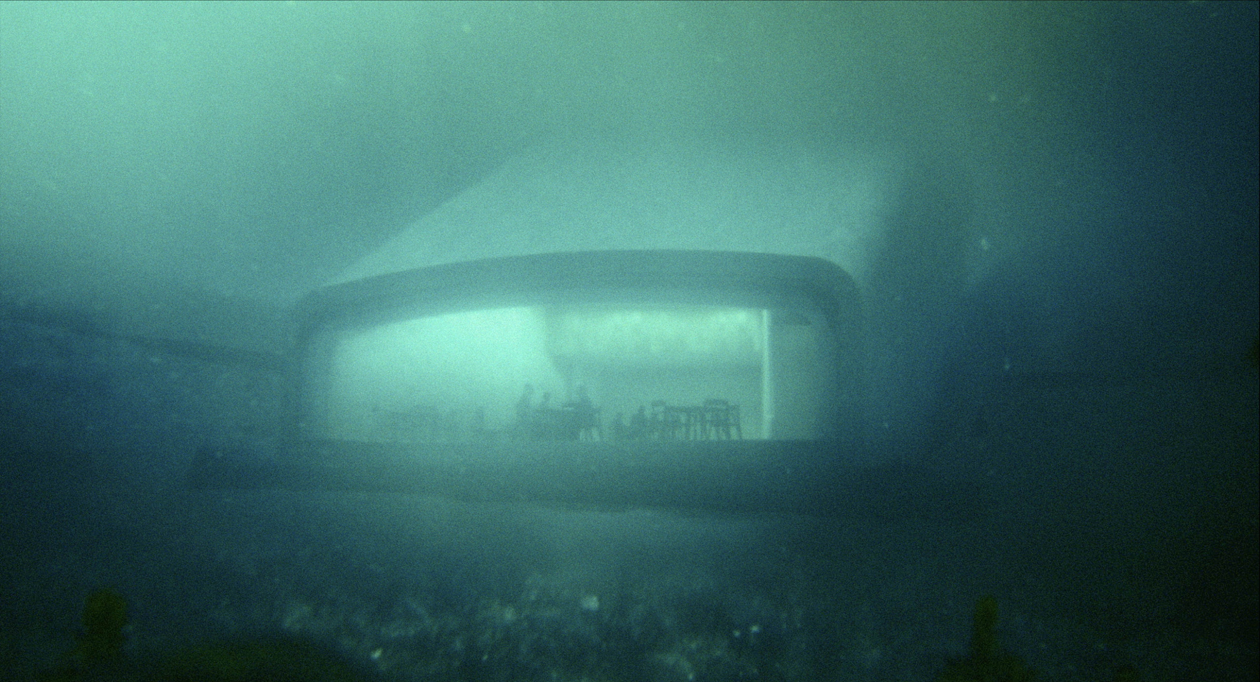 Wonders beneath the sea