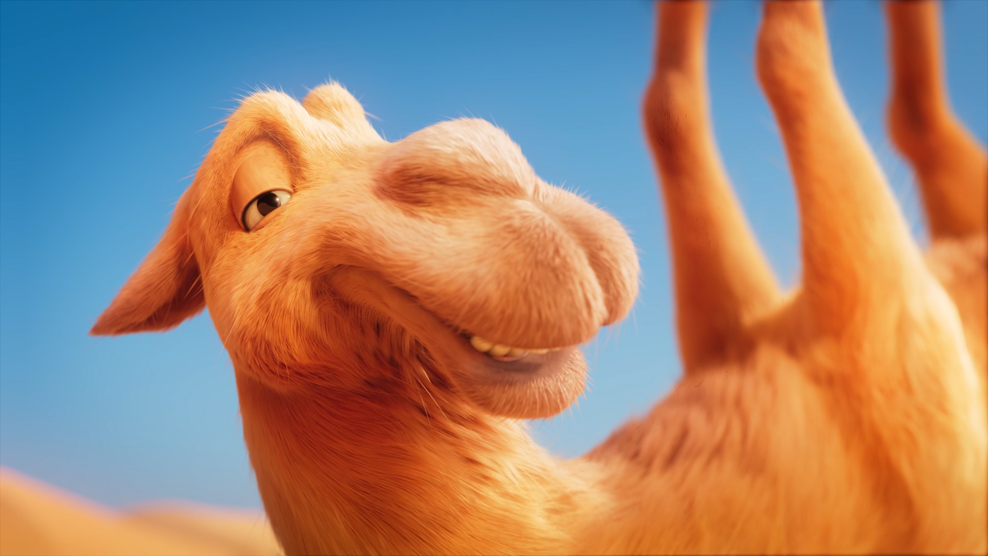 Itchy the Camel : Rakes