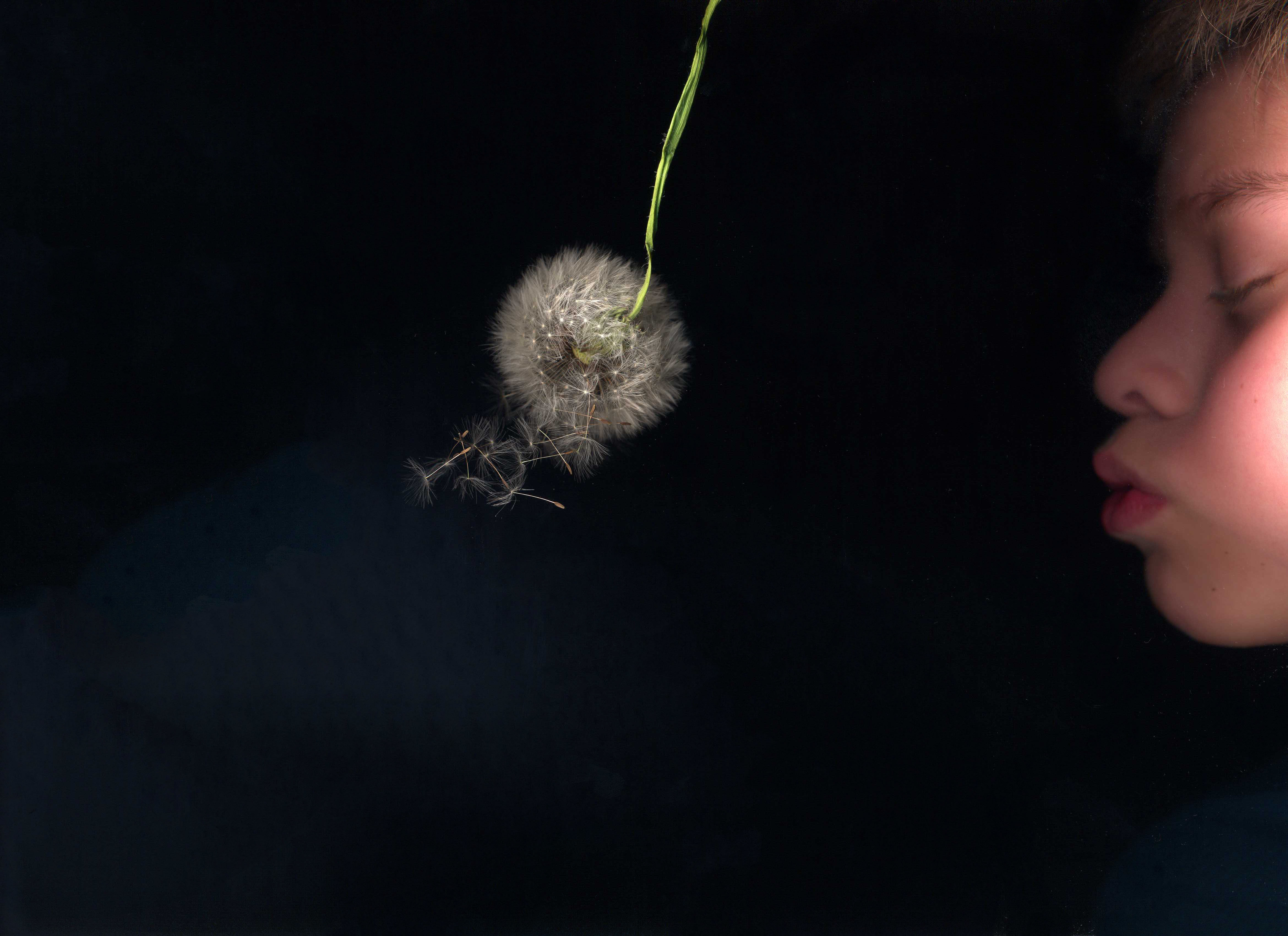 Dans un rectangle absolu le printemps