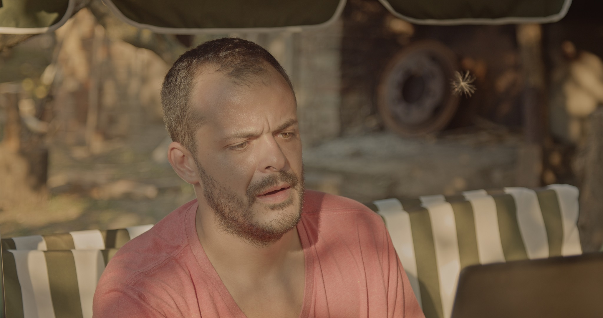 Somnoroase părărele!