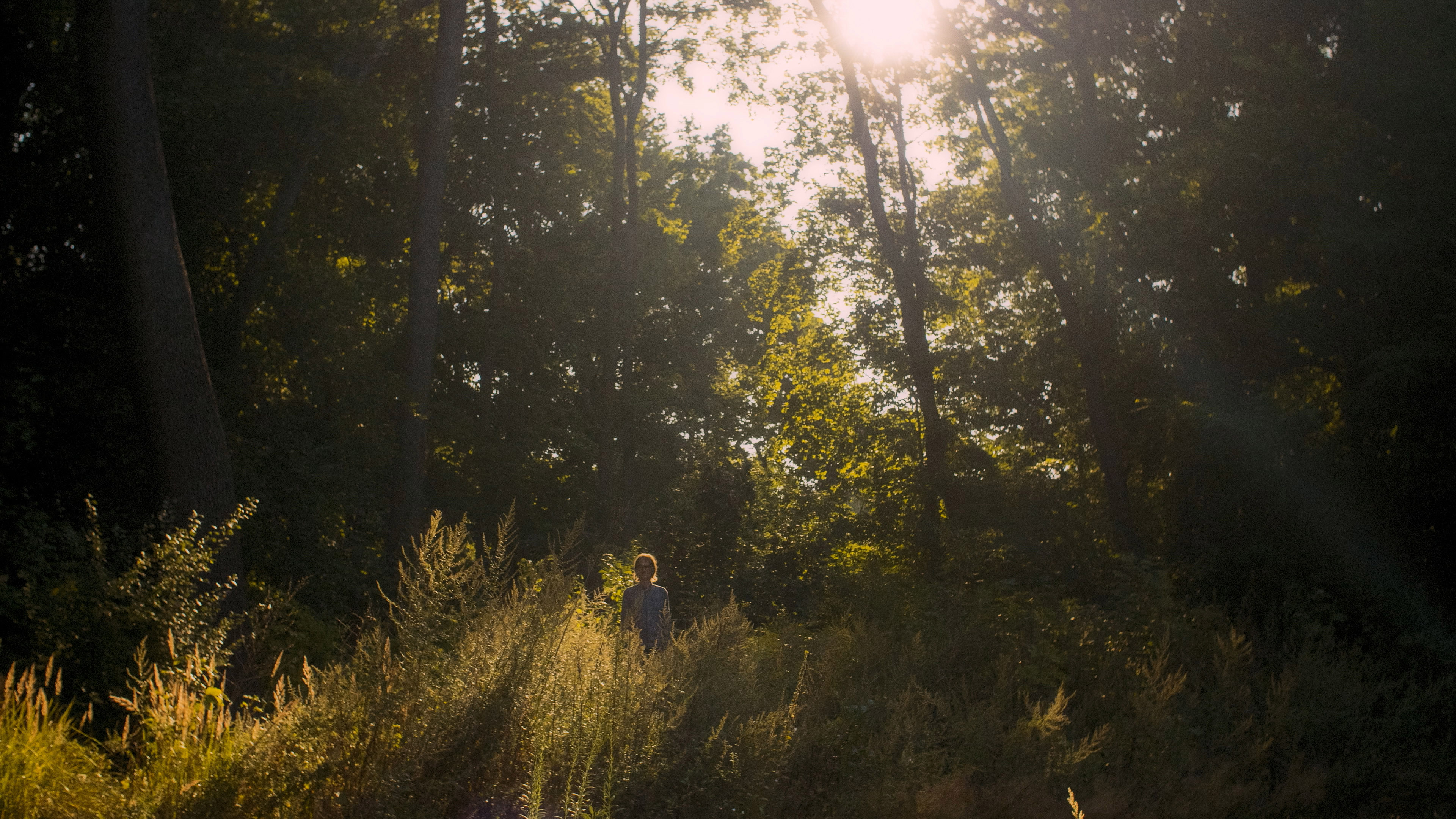 F entre les degrés de l'organique
