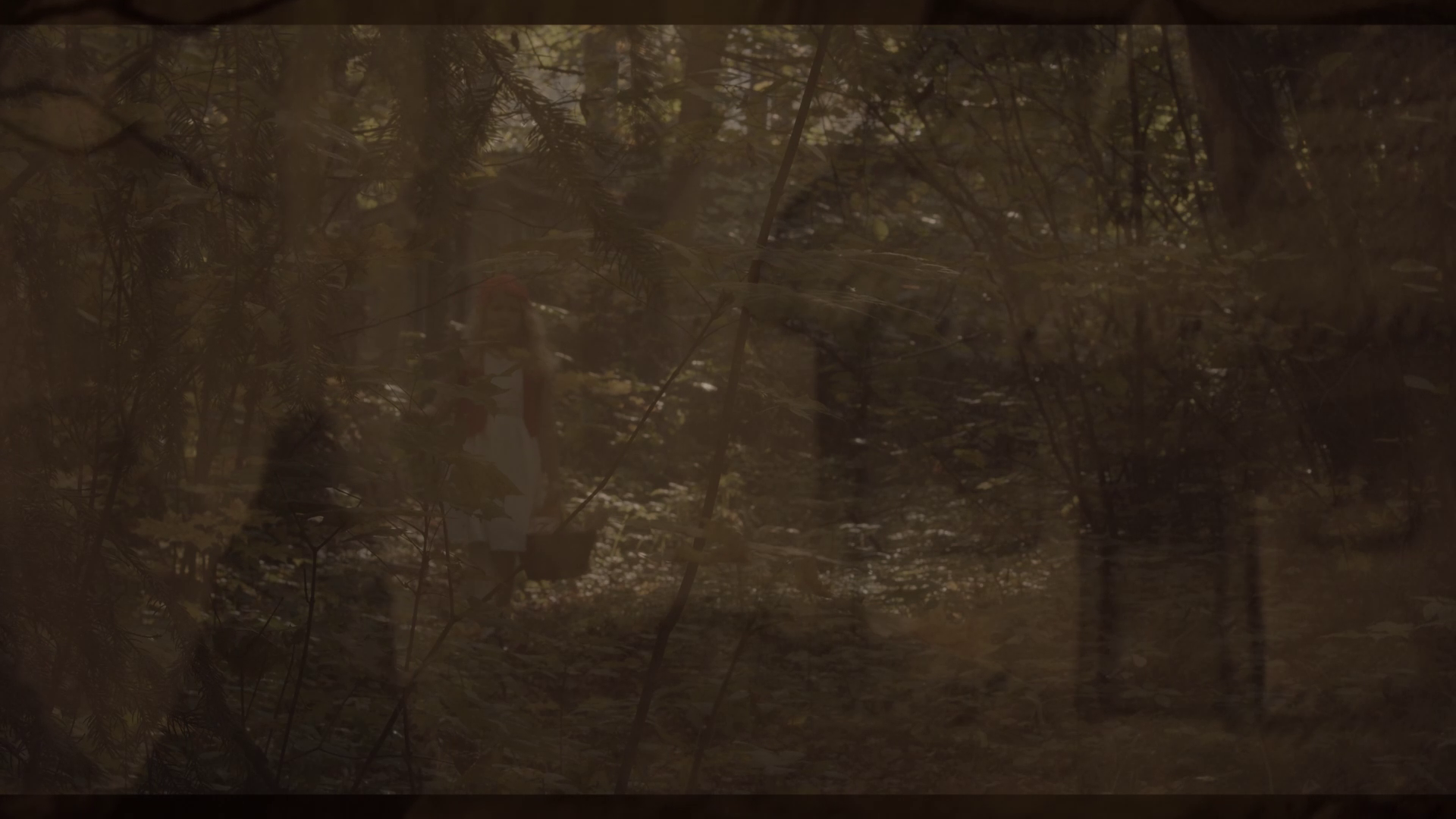 Kto pohitil krasnuyu shapochku?