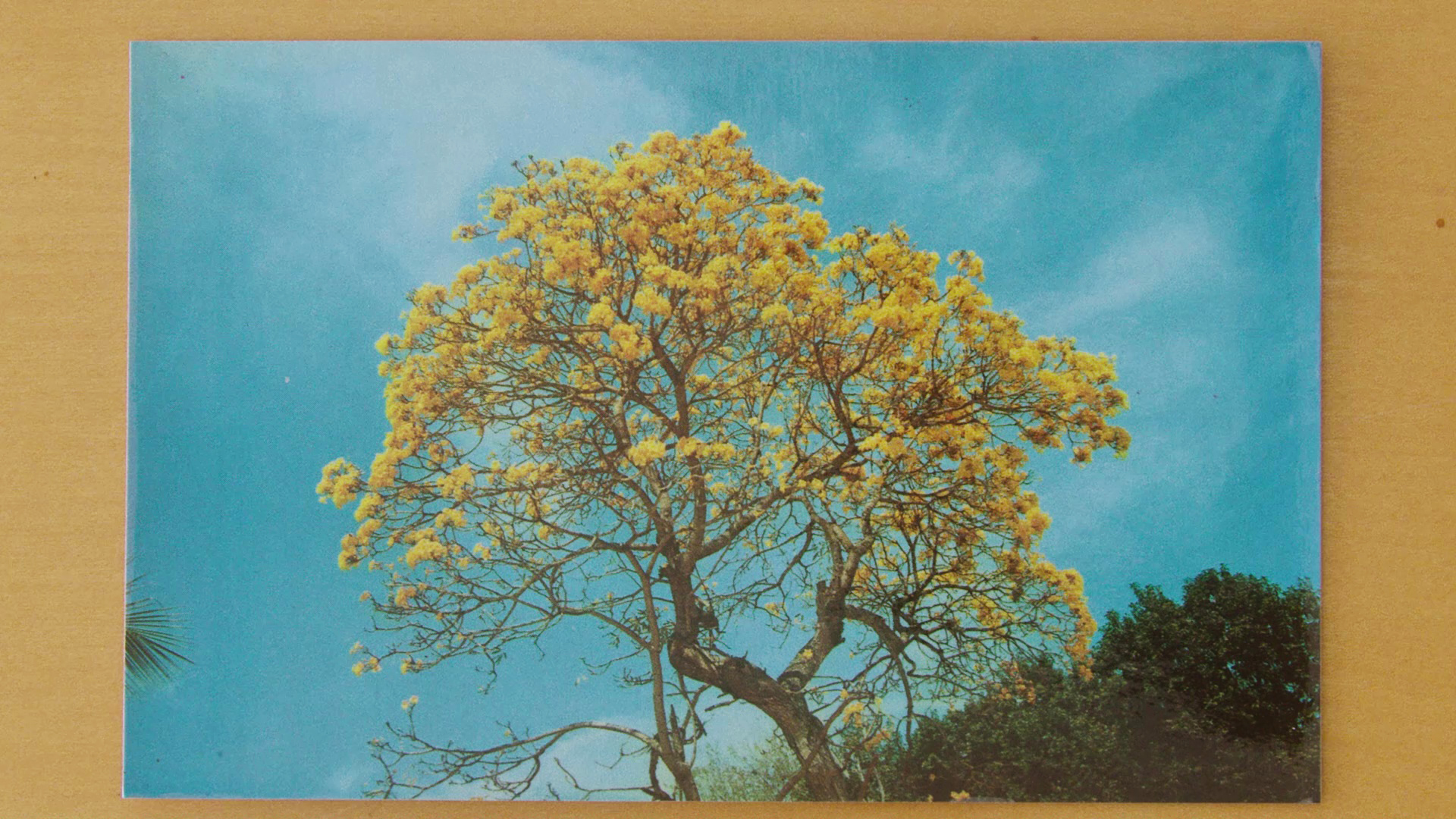 In Beauty It Is Unfinished