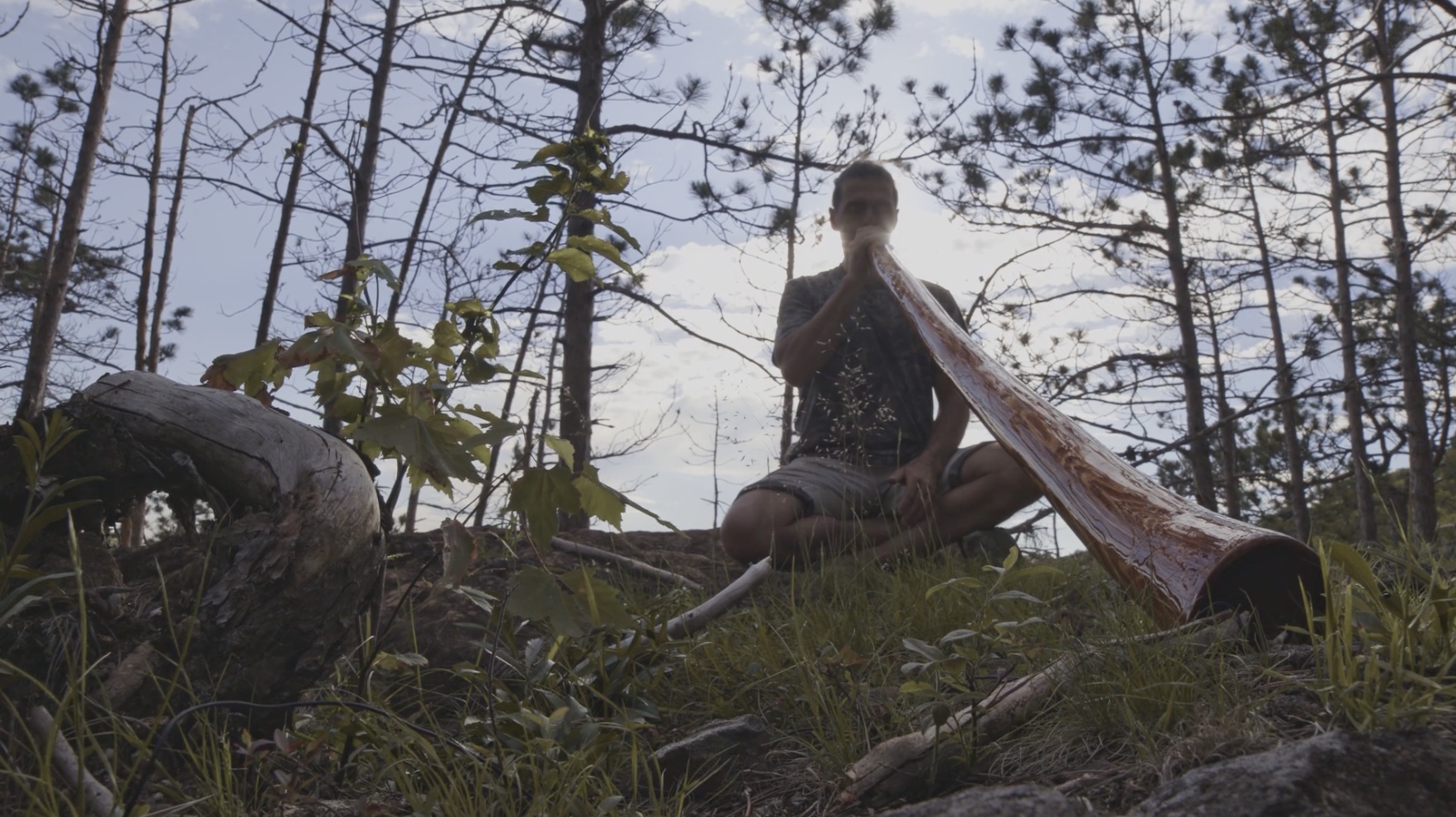 Sculpter la vibration