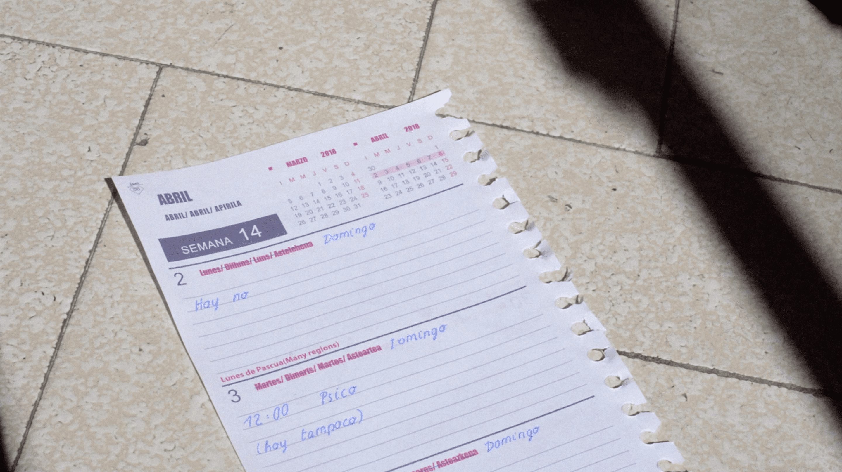 Todos los días domingos