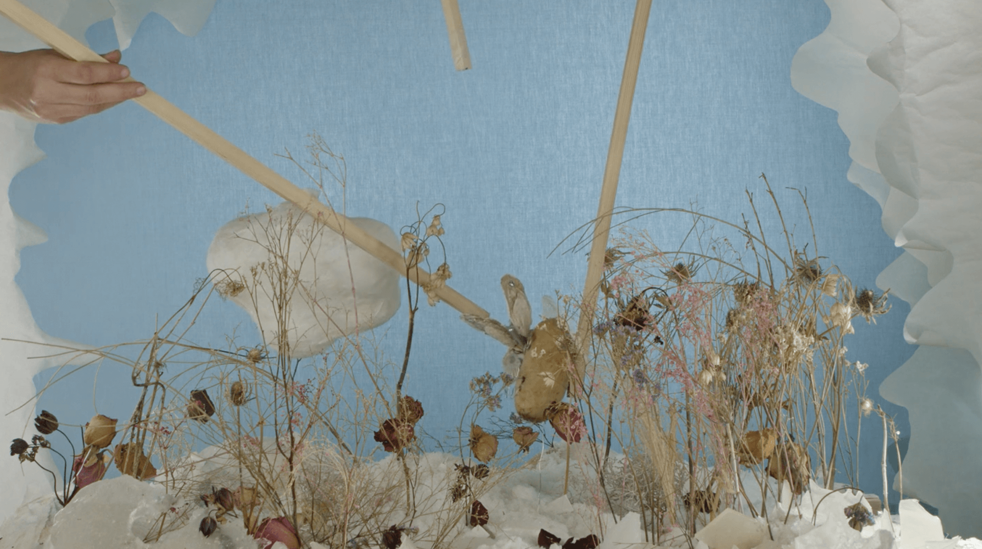 Cuisson transgénérationnelle des patates en Bretagne