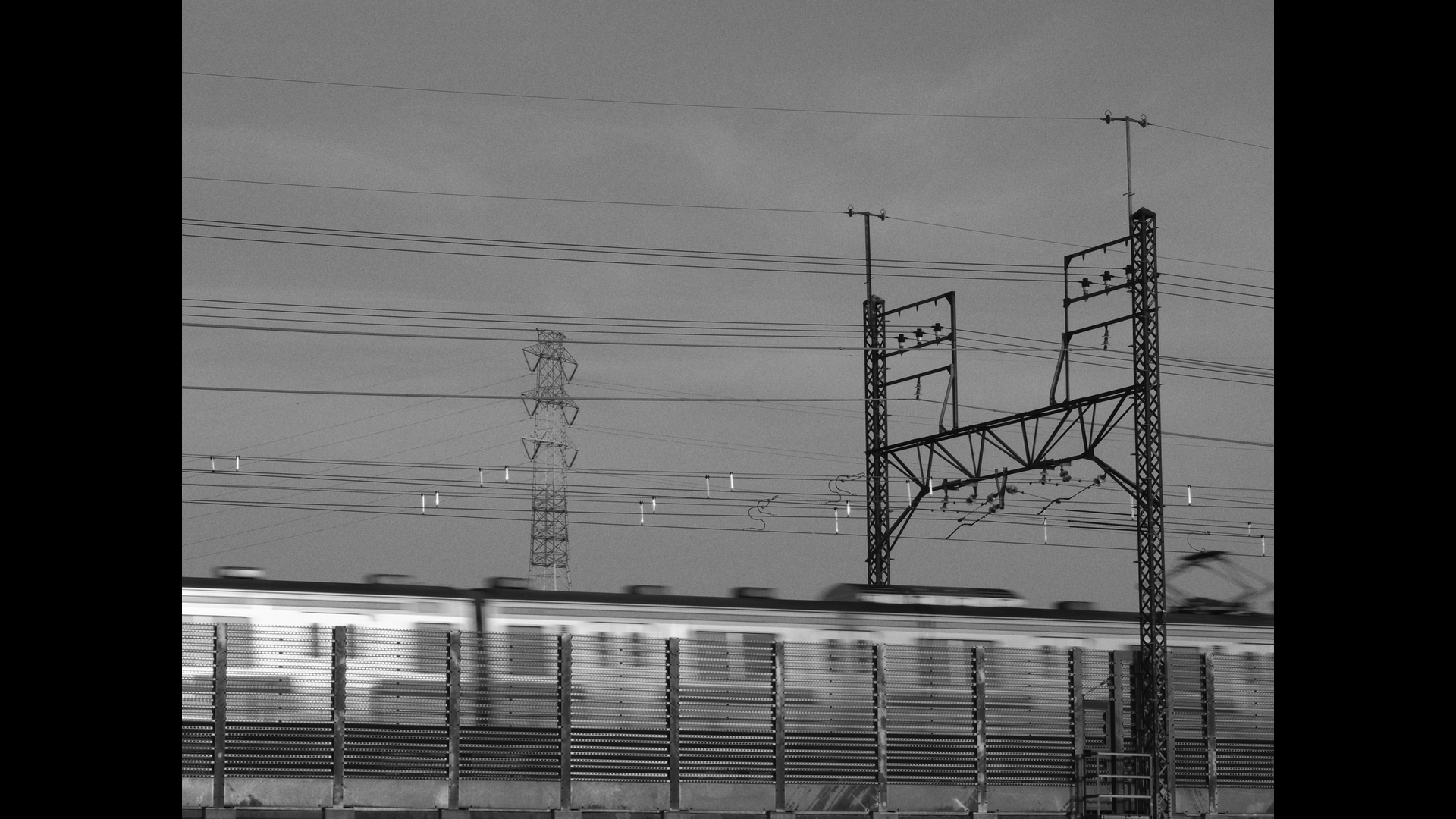 Locomotion / Murmuration
