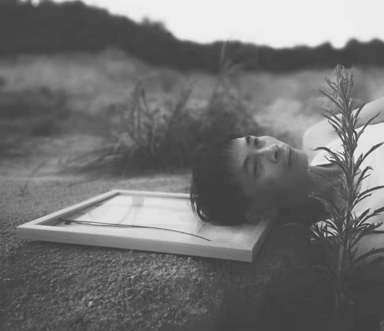 Fei Wu
