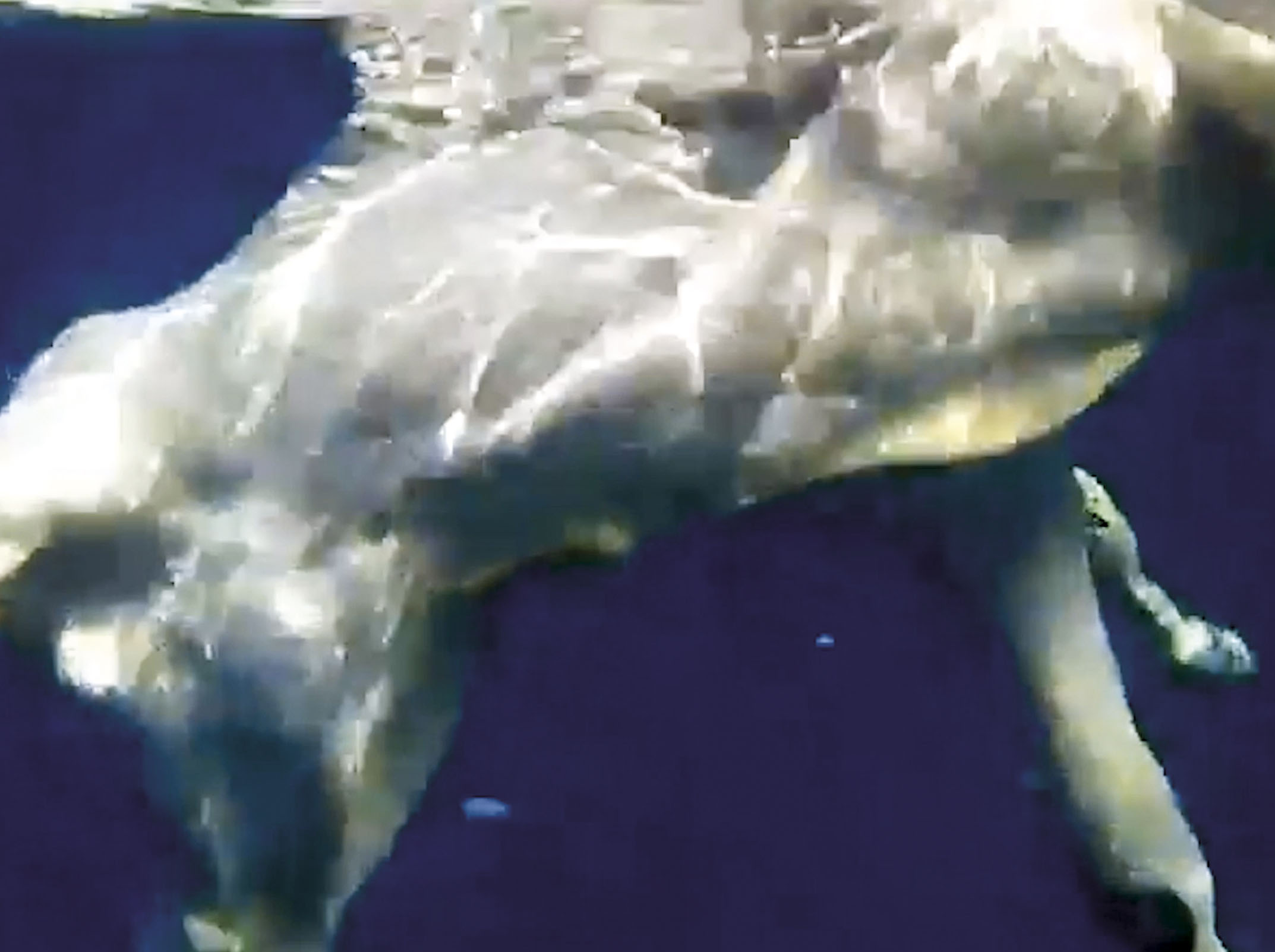 Un mal sous son bras