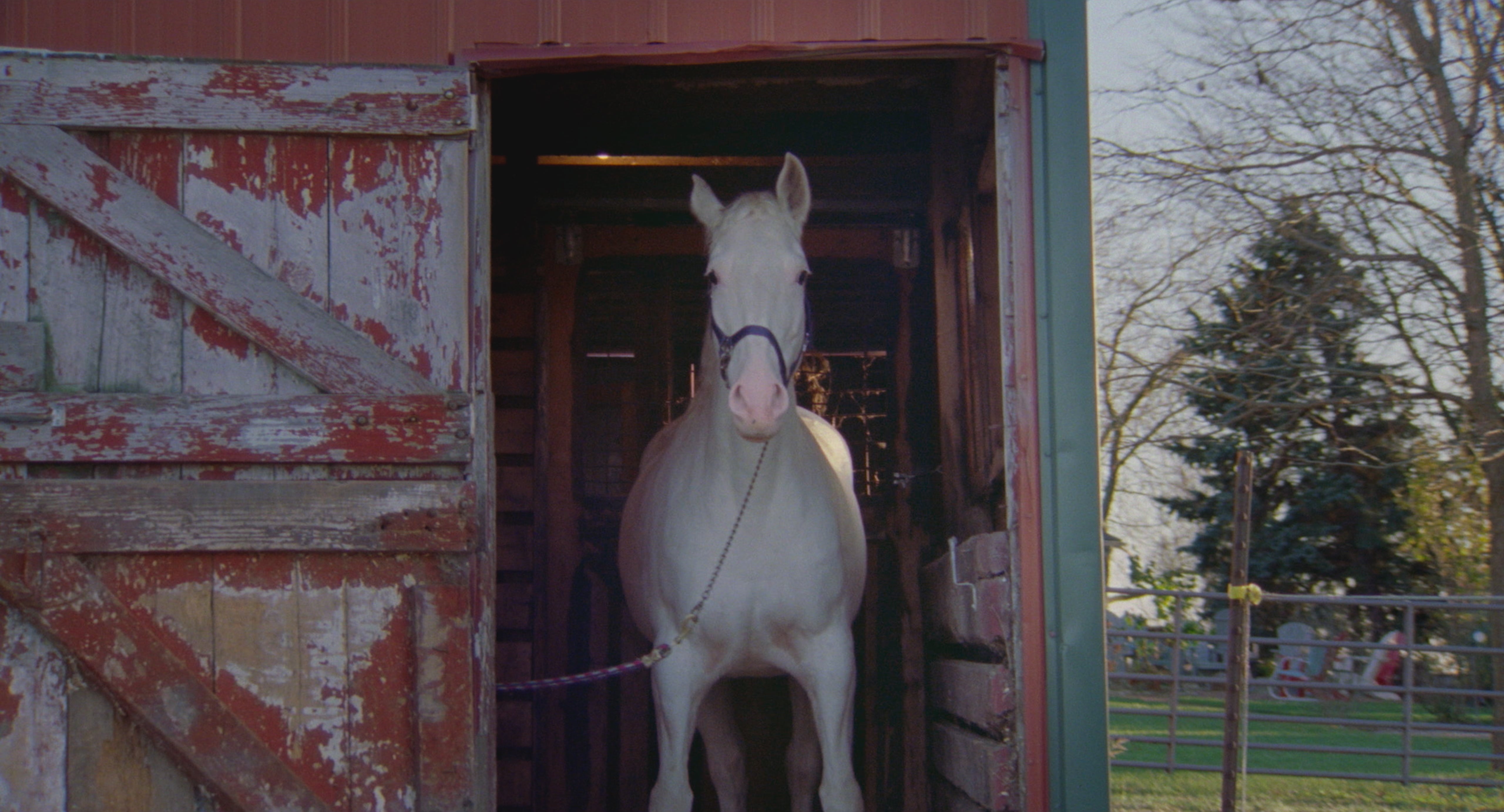 Horse Girl