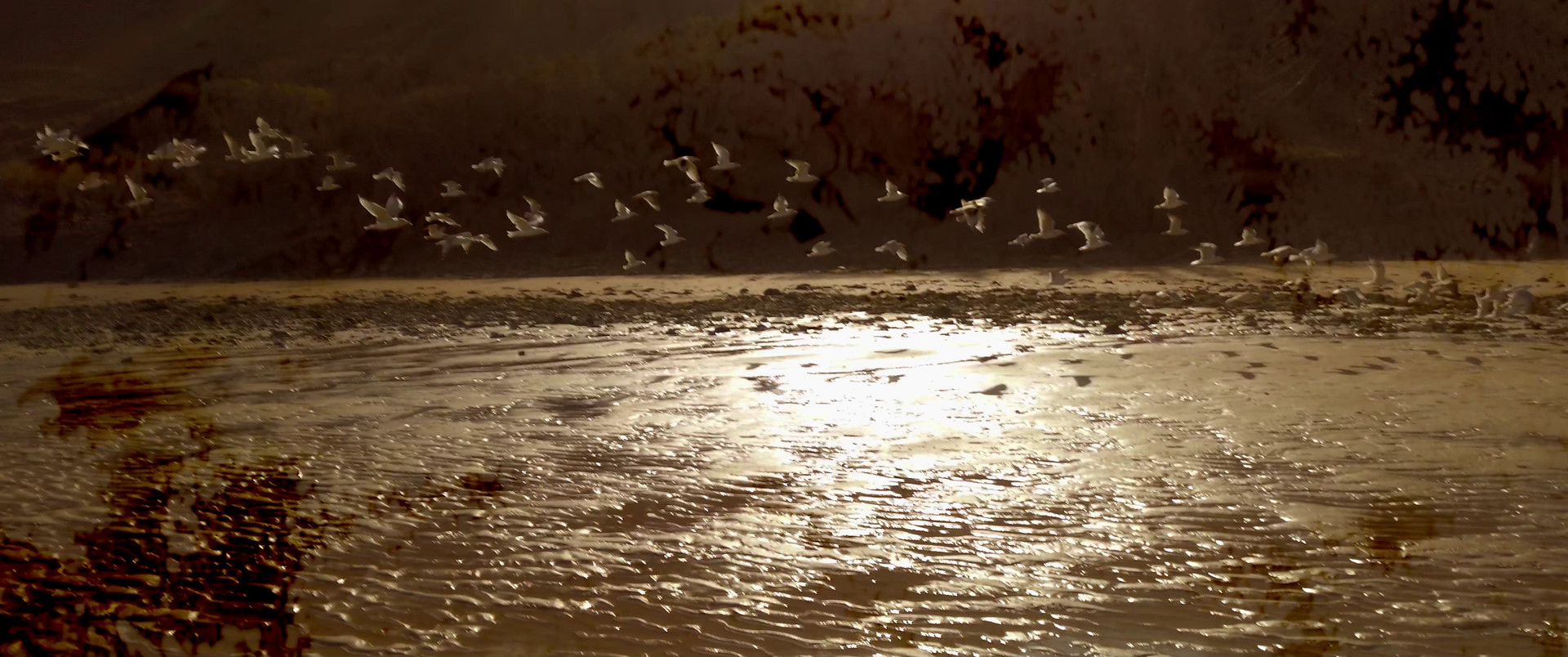 K's Gaze - se mouvoir dans les airs