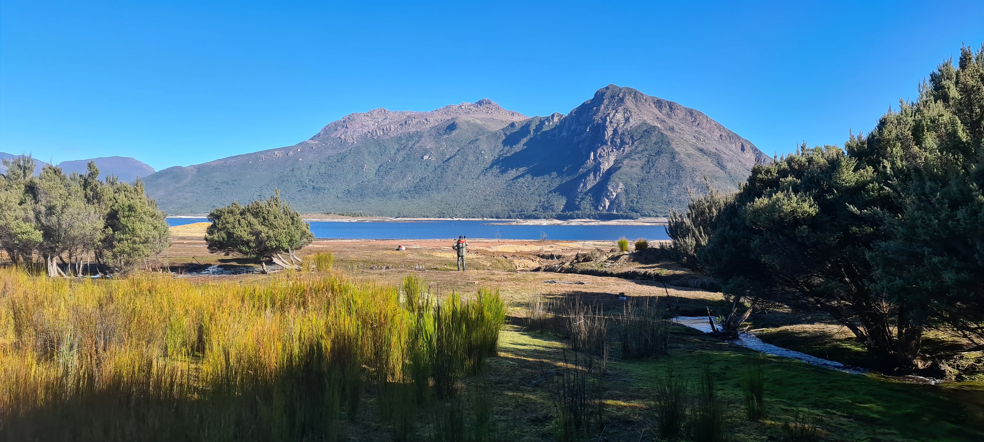 Survivors: Rediscovering the Short-tailed Rain Crayfish