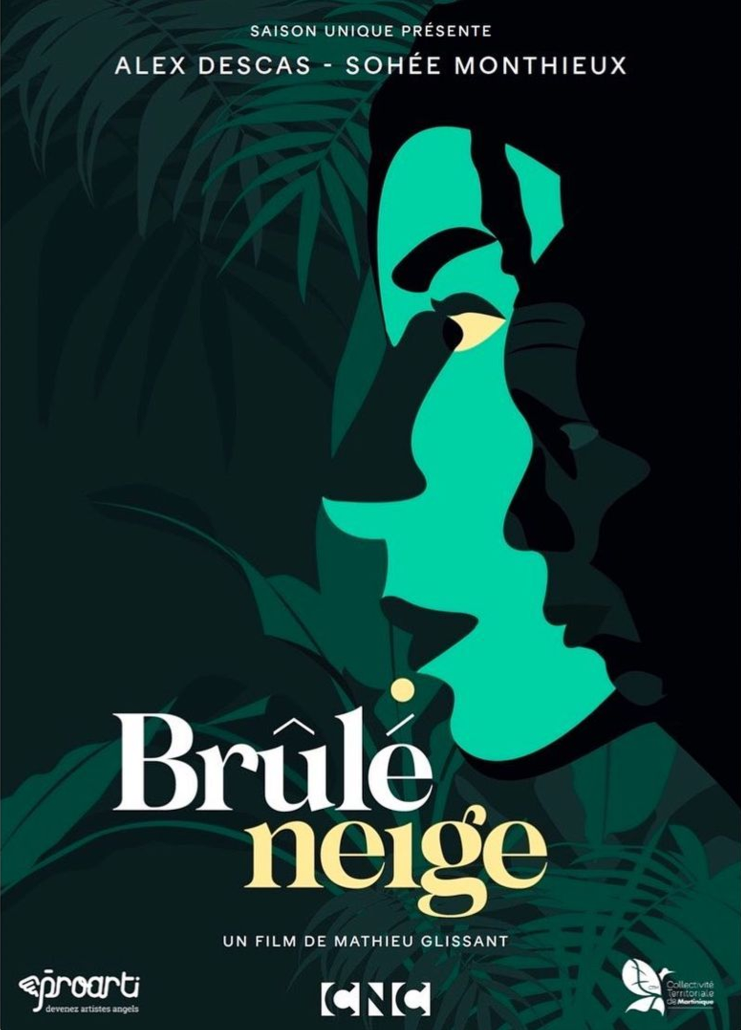 Brûlé neige
