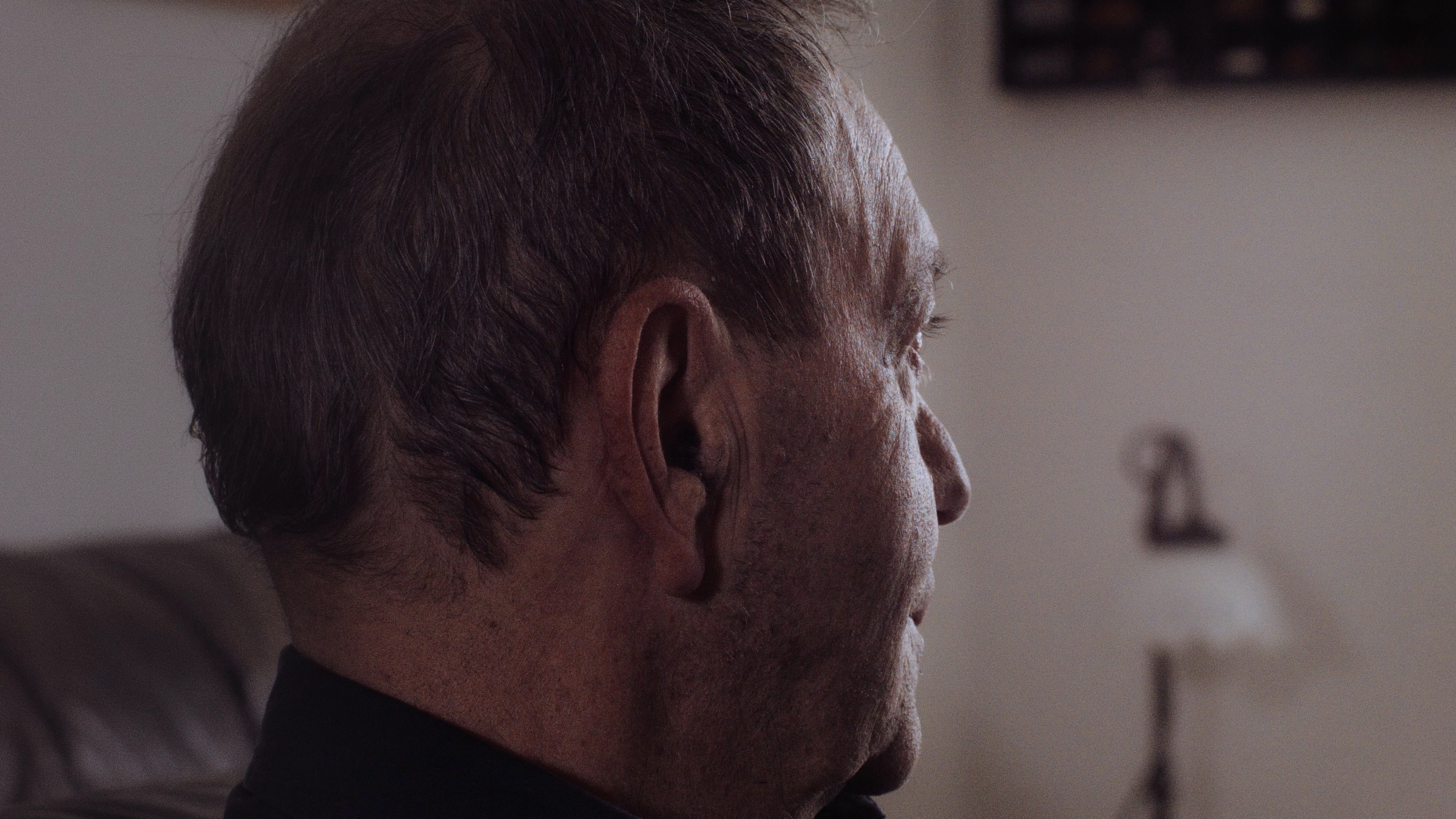 Rendezvous der Schmetterlinge