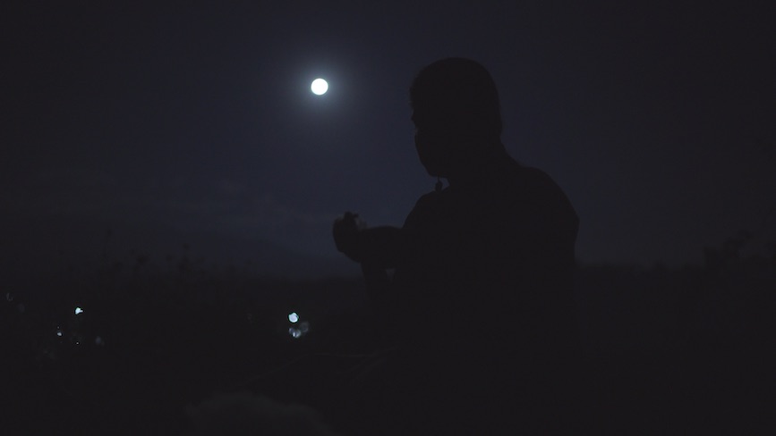 Flores de la llanura