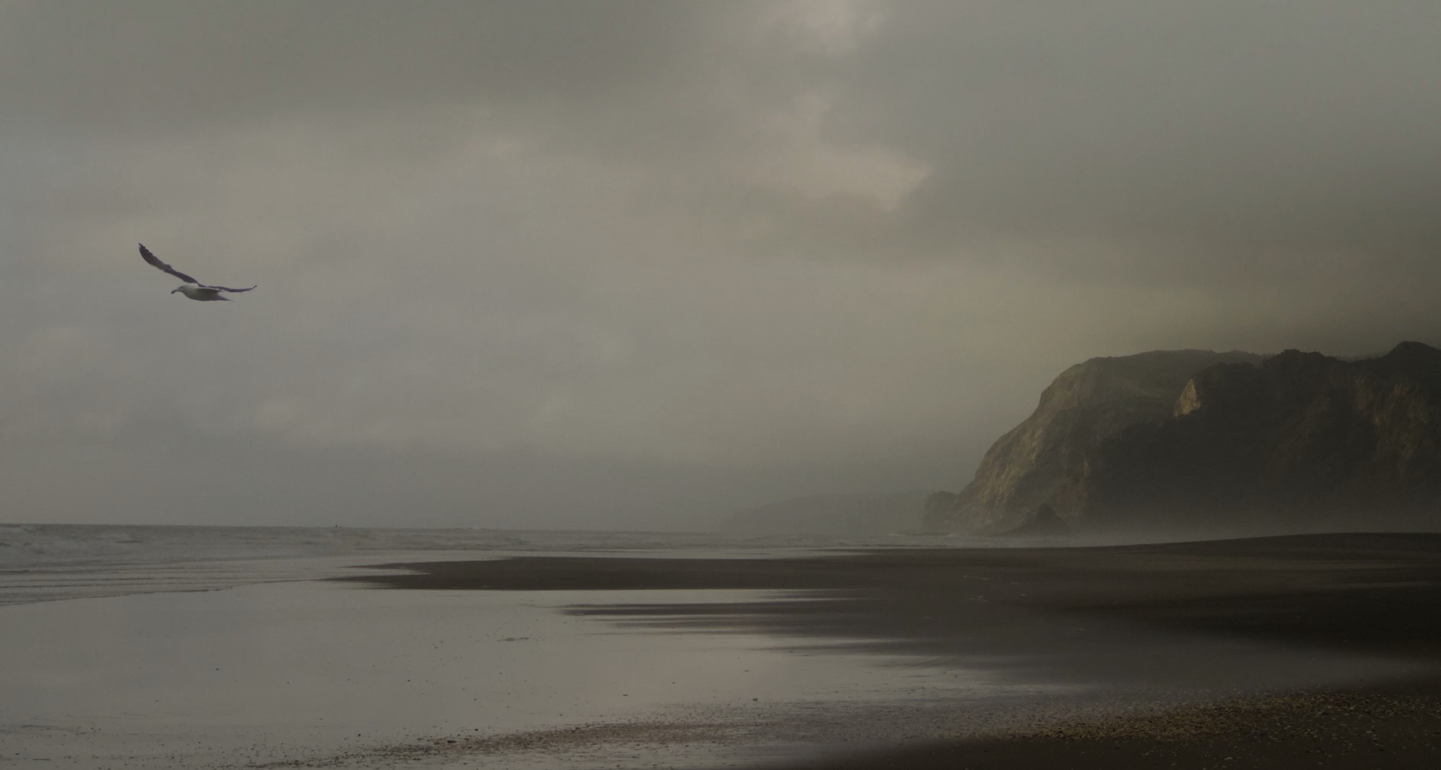 Perfect Storm