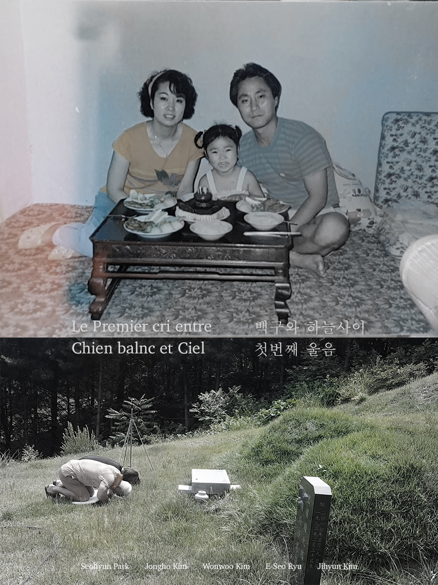 Premier cri entre chien blanc et ciel