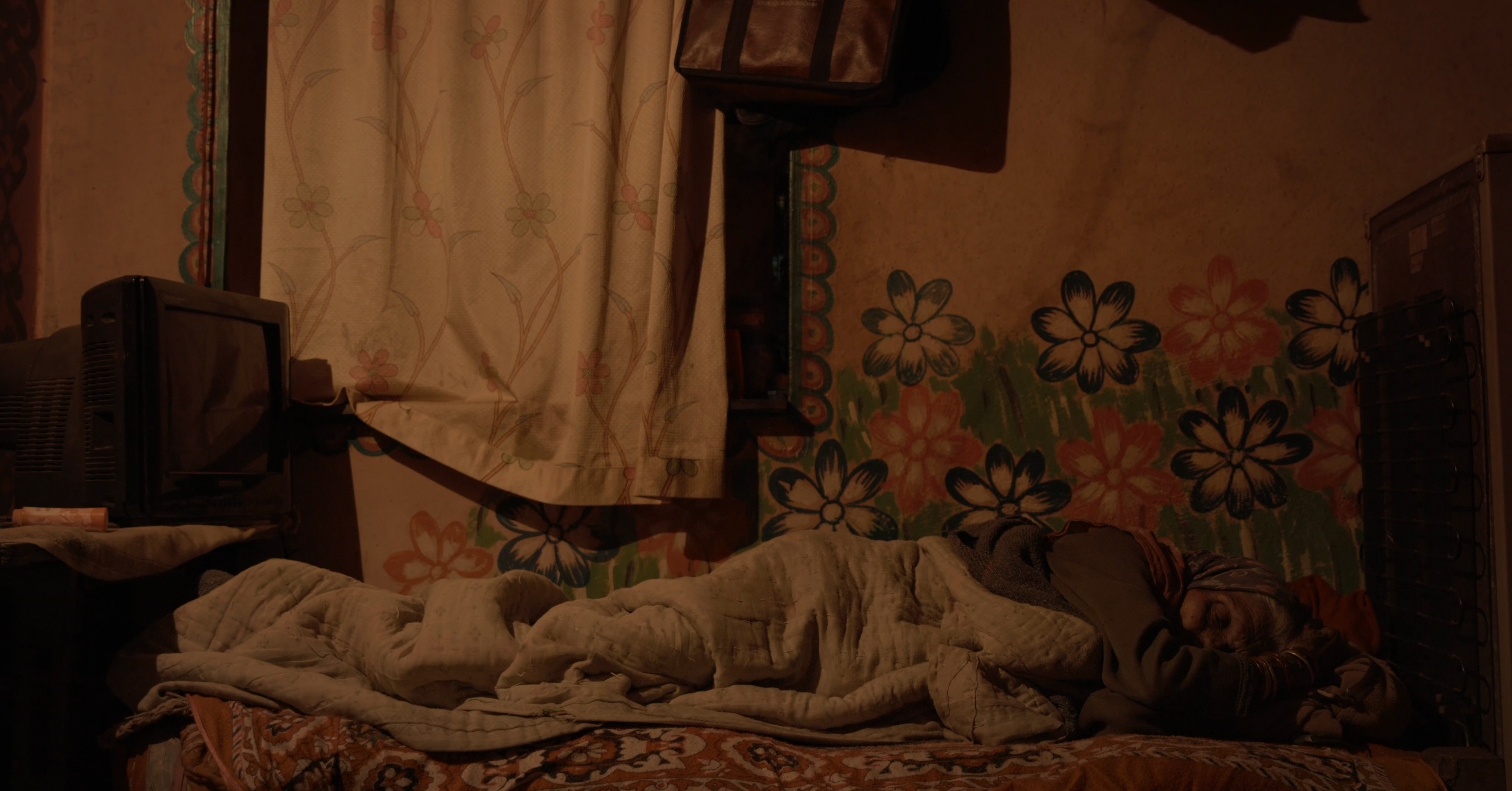 Murmurs of the Jungle