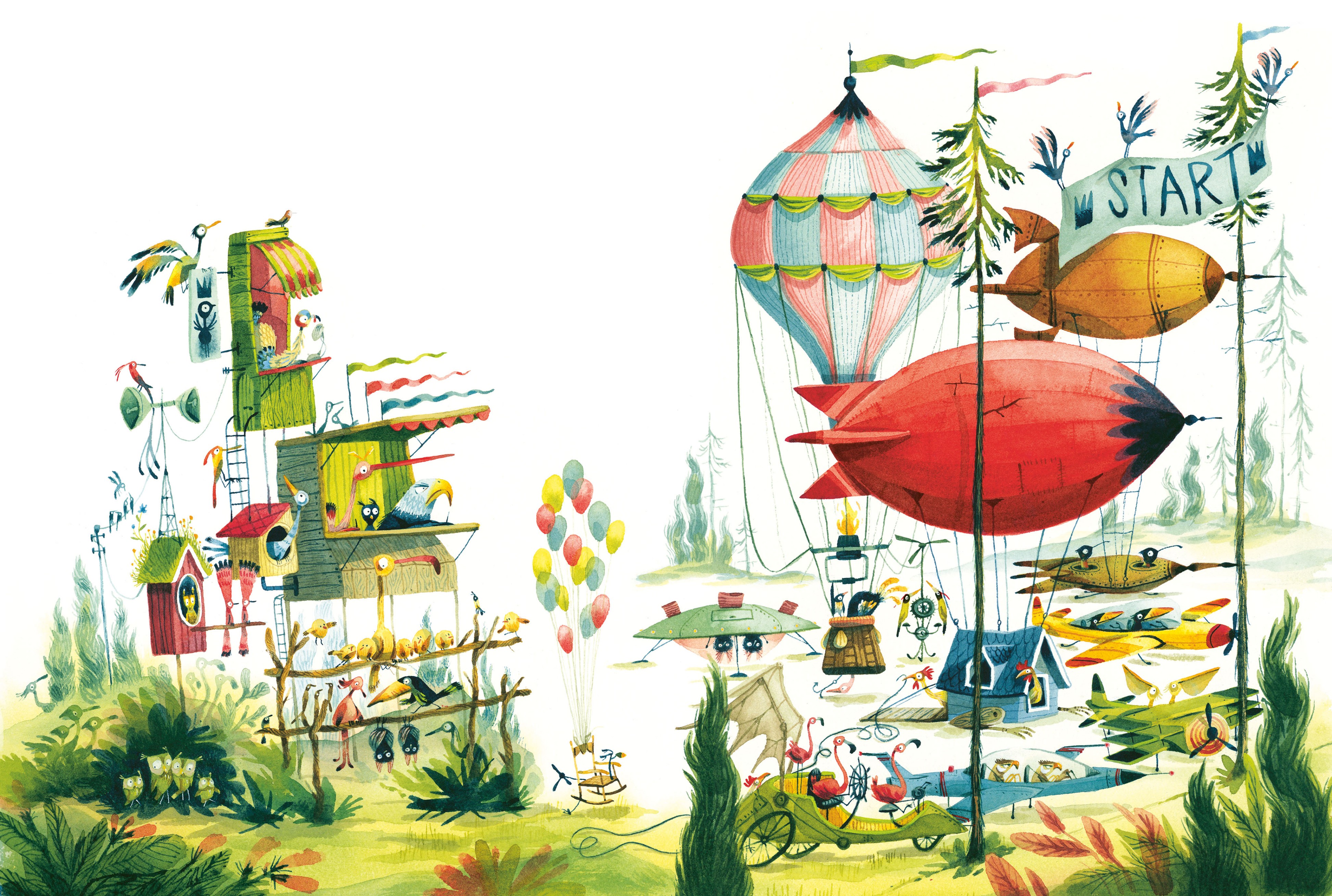 Fantastische vliegwedstrijd