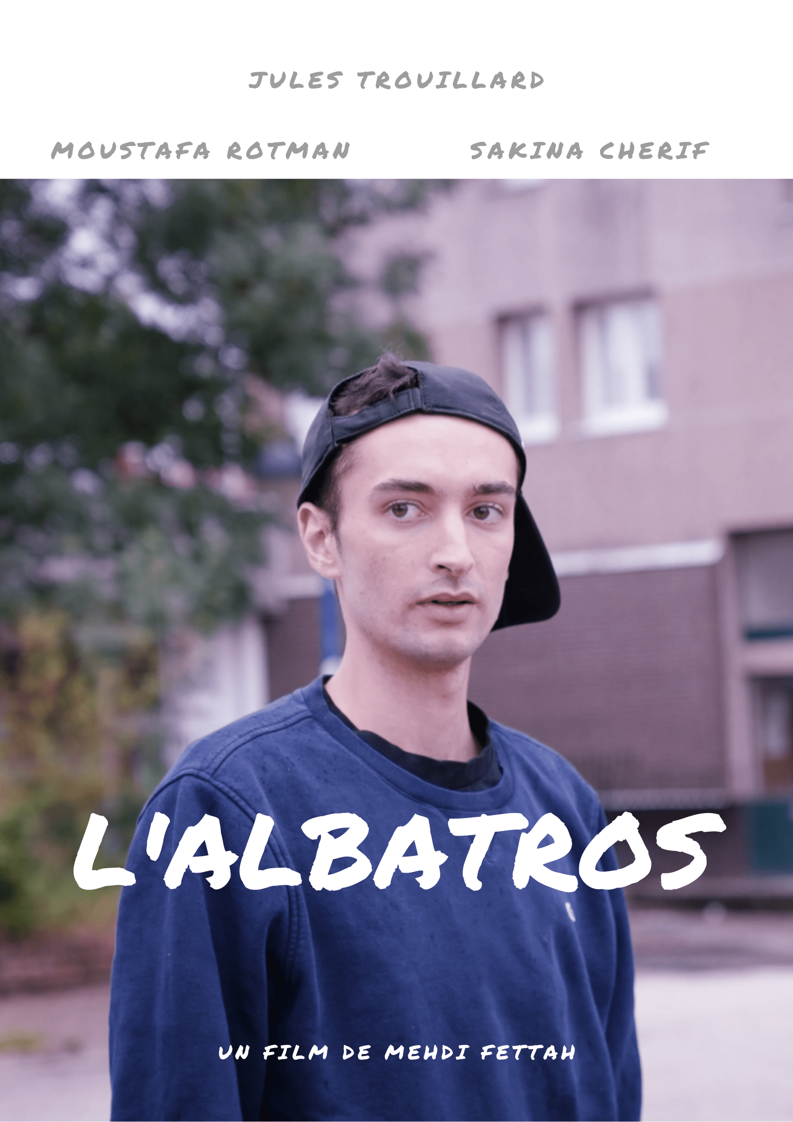 Albatros