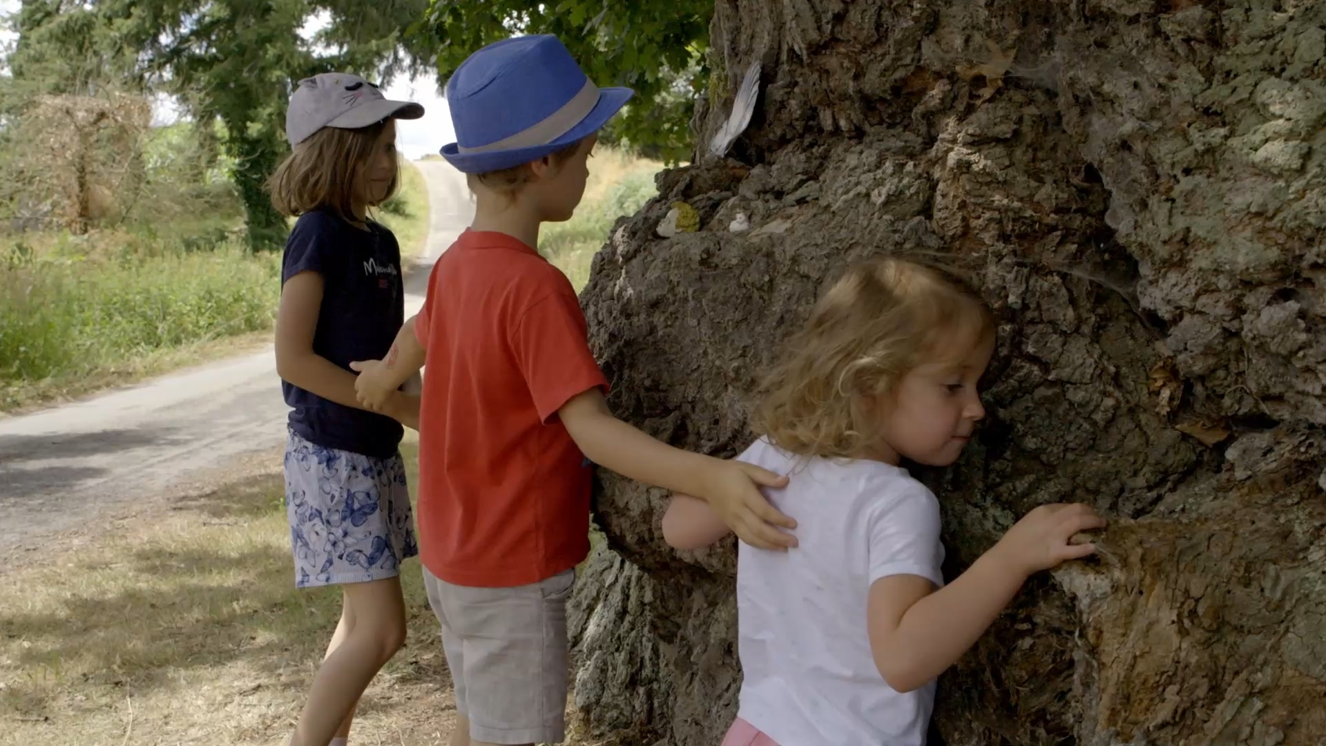 Des femmes des arbres