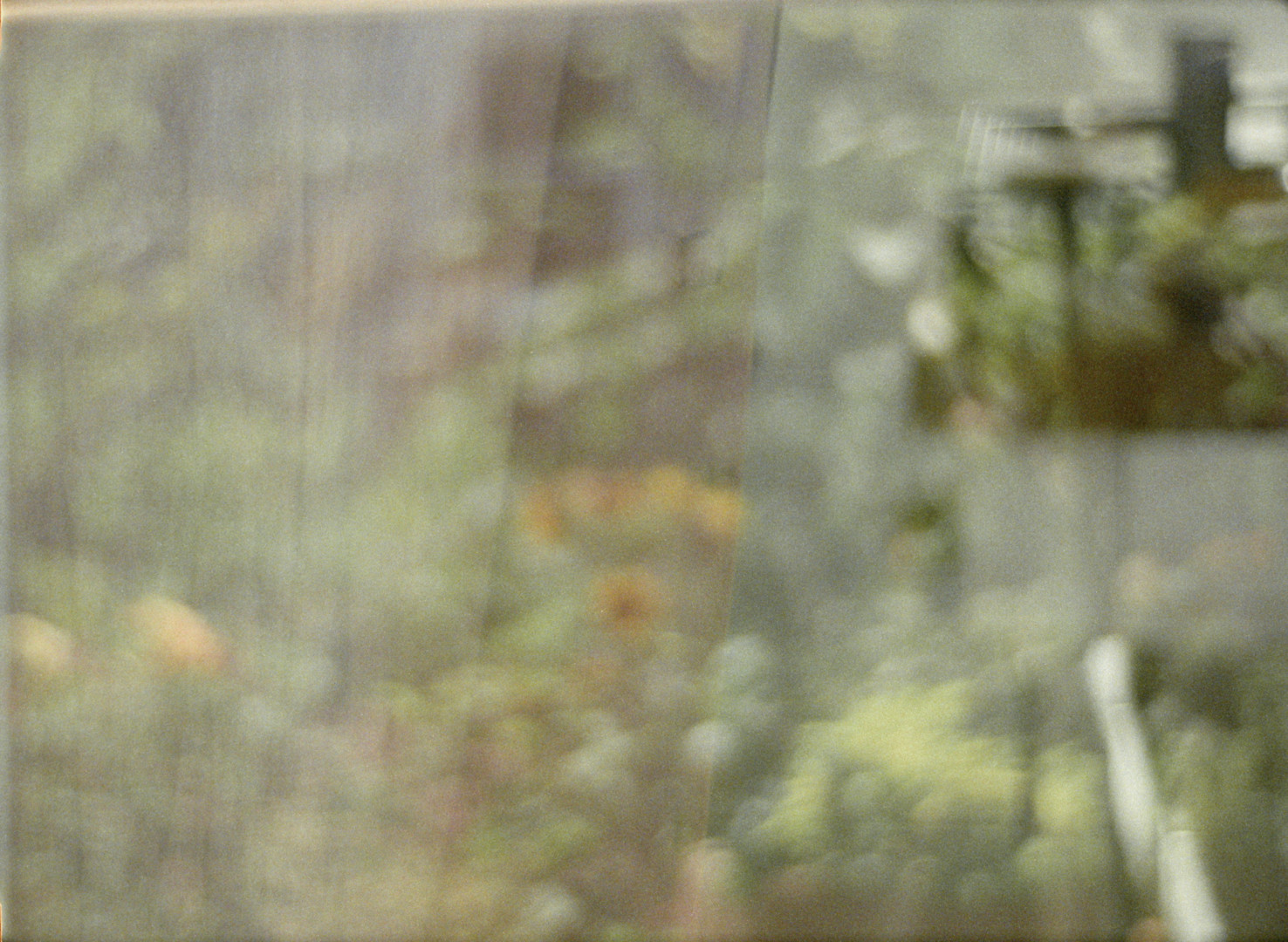 Summer Light for Tula