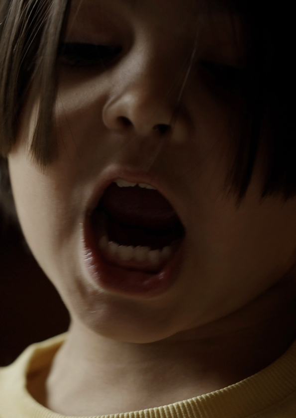 And the Stars of the Sky Fell to the Earth