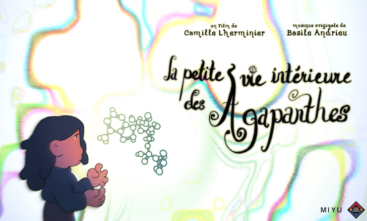 Petite vie intérieure des agapanthes